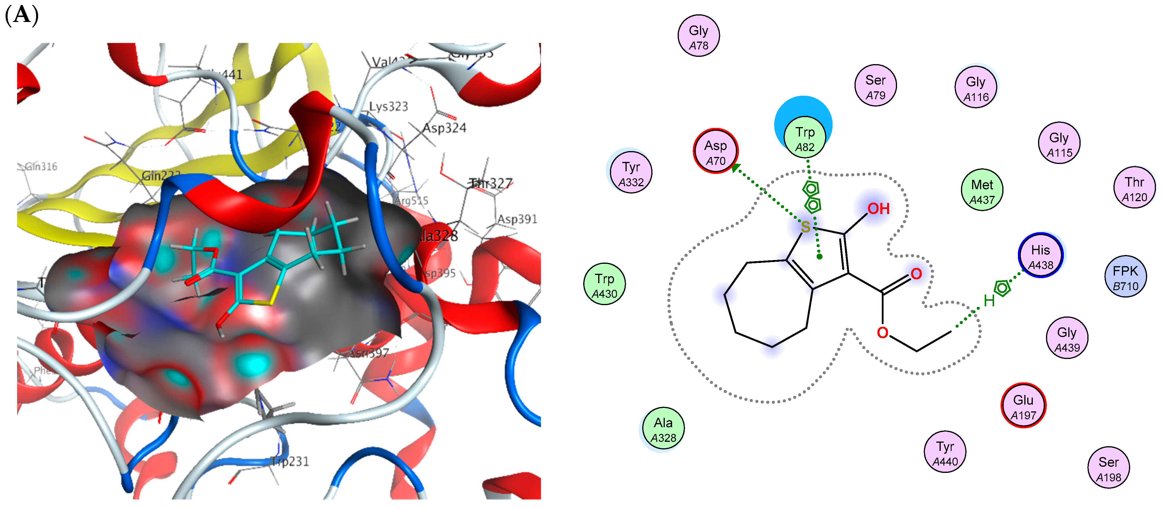 Pharmaceuticals 18 01214 g017a