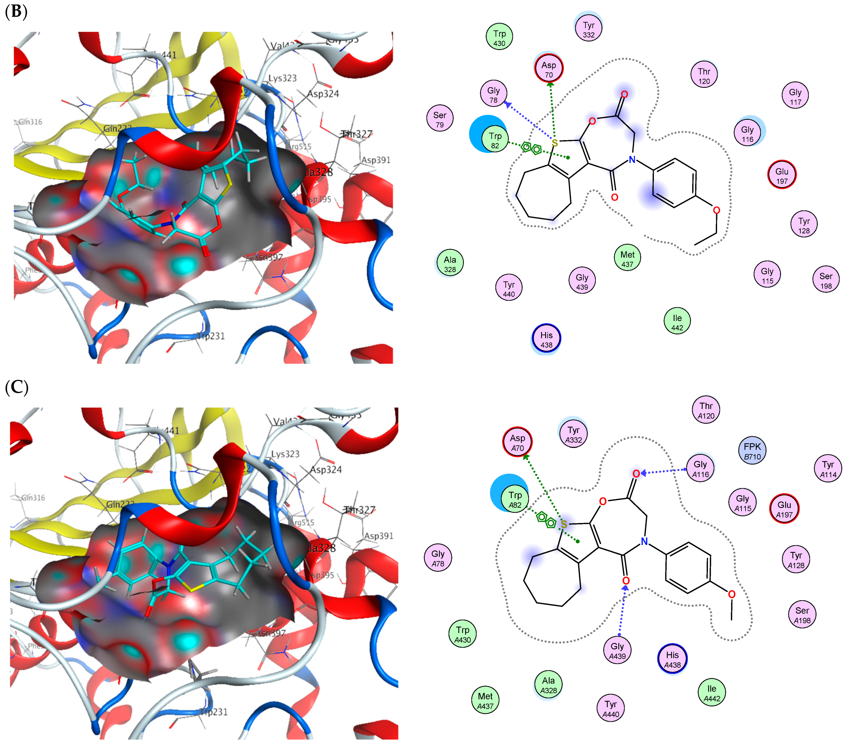 Pharmaceuticals 18 01214 g017b
