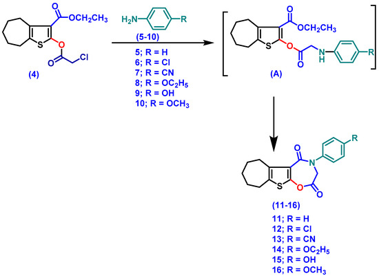 Unlocking Therapeutic Potential of Novel Thieno-Oxazepine
