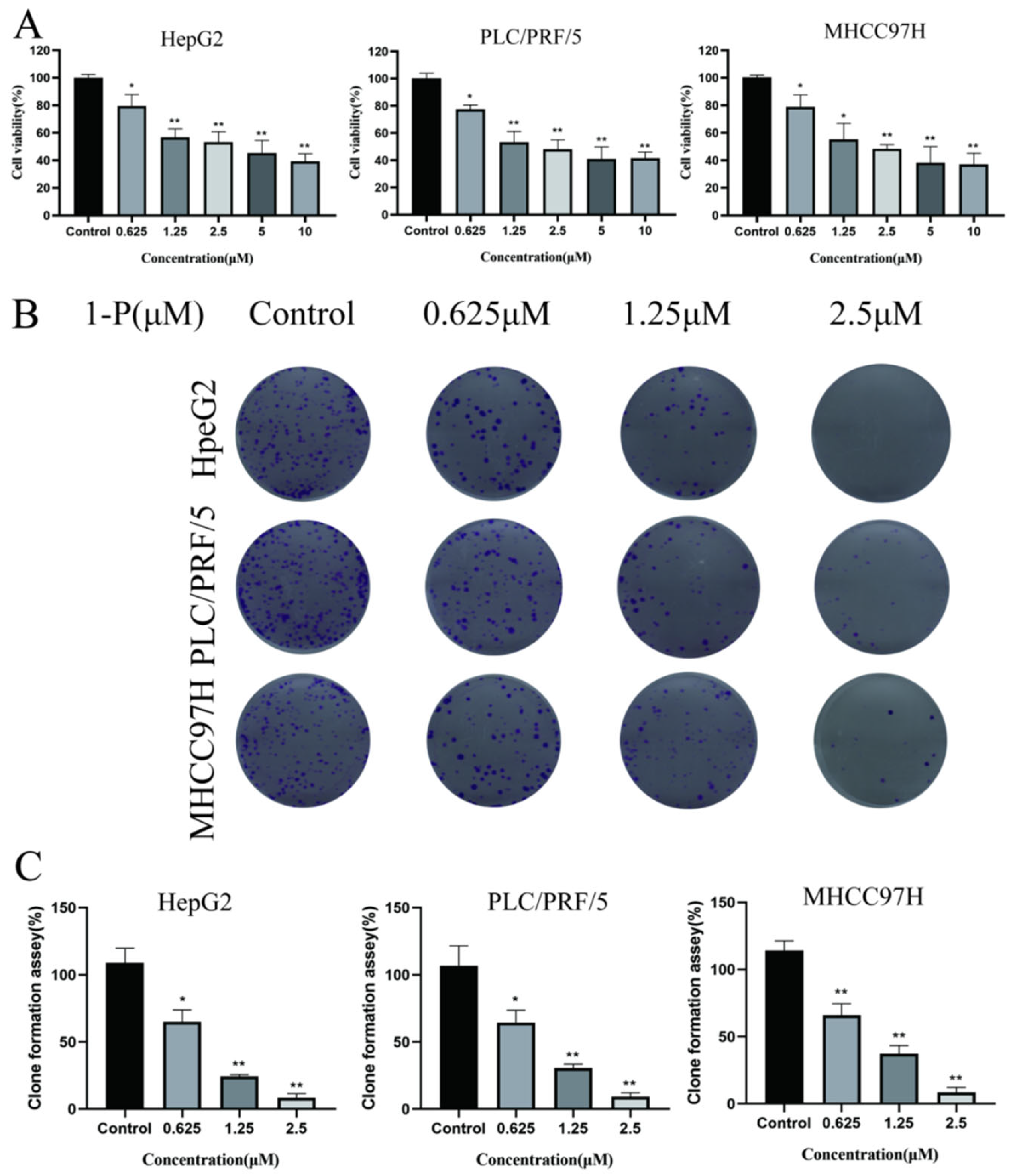 Pharmaceuticals 18 01226 g001 Pharmaceuticals 18 01226 g001