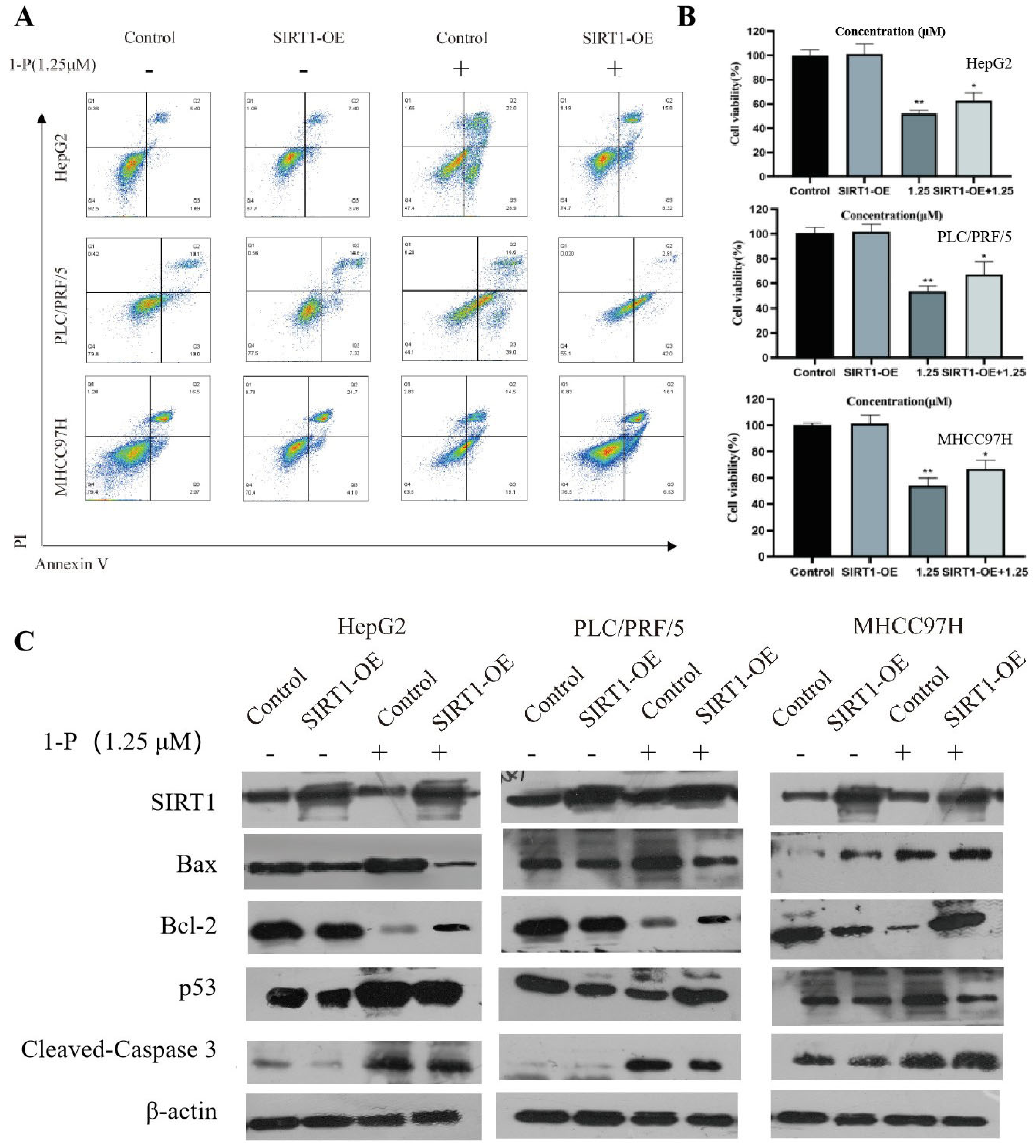 Pharmaceuticals 18 01226 g003 Pharmaceuticals 18 01226 g003