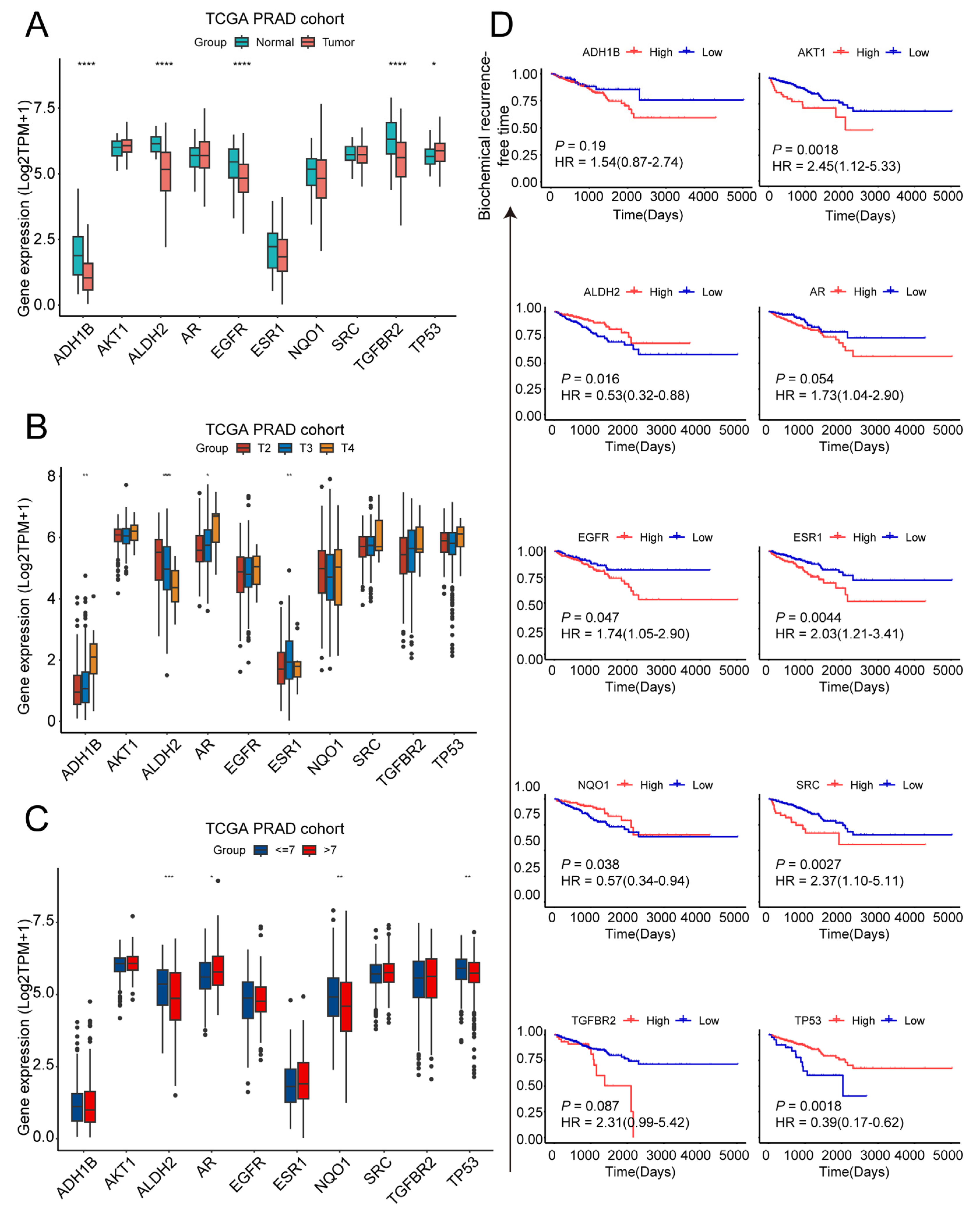 Pharmaceuticals 18 01241 g002 Pharmaceuticals 18 01241 g002