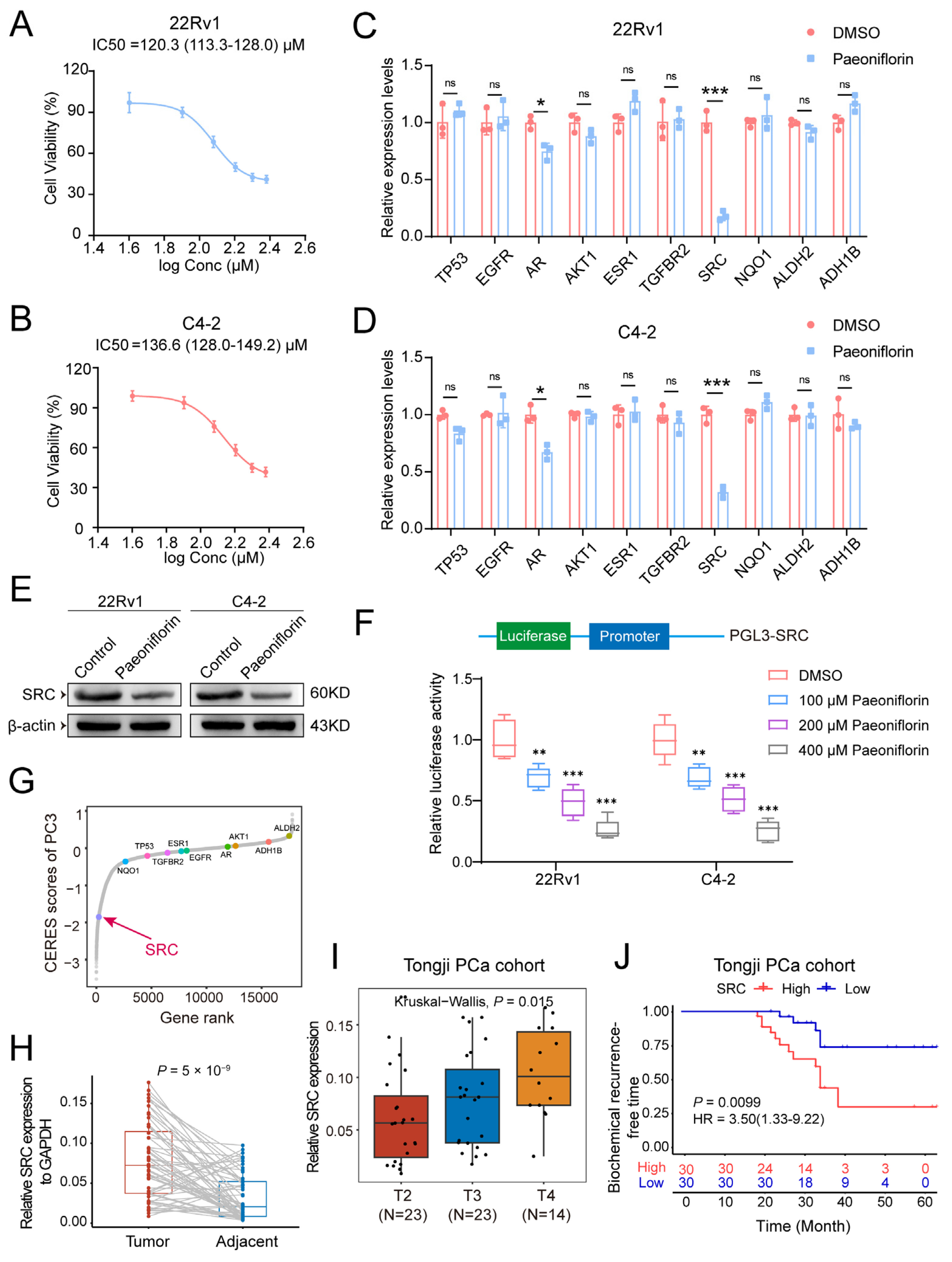 Pharmaceuticals 18 01241 g005 Pharmaceuticals 18 01241 g005
