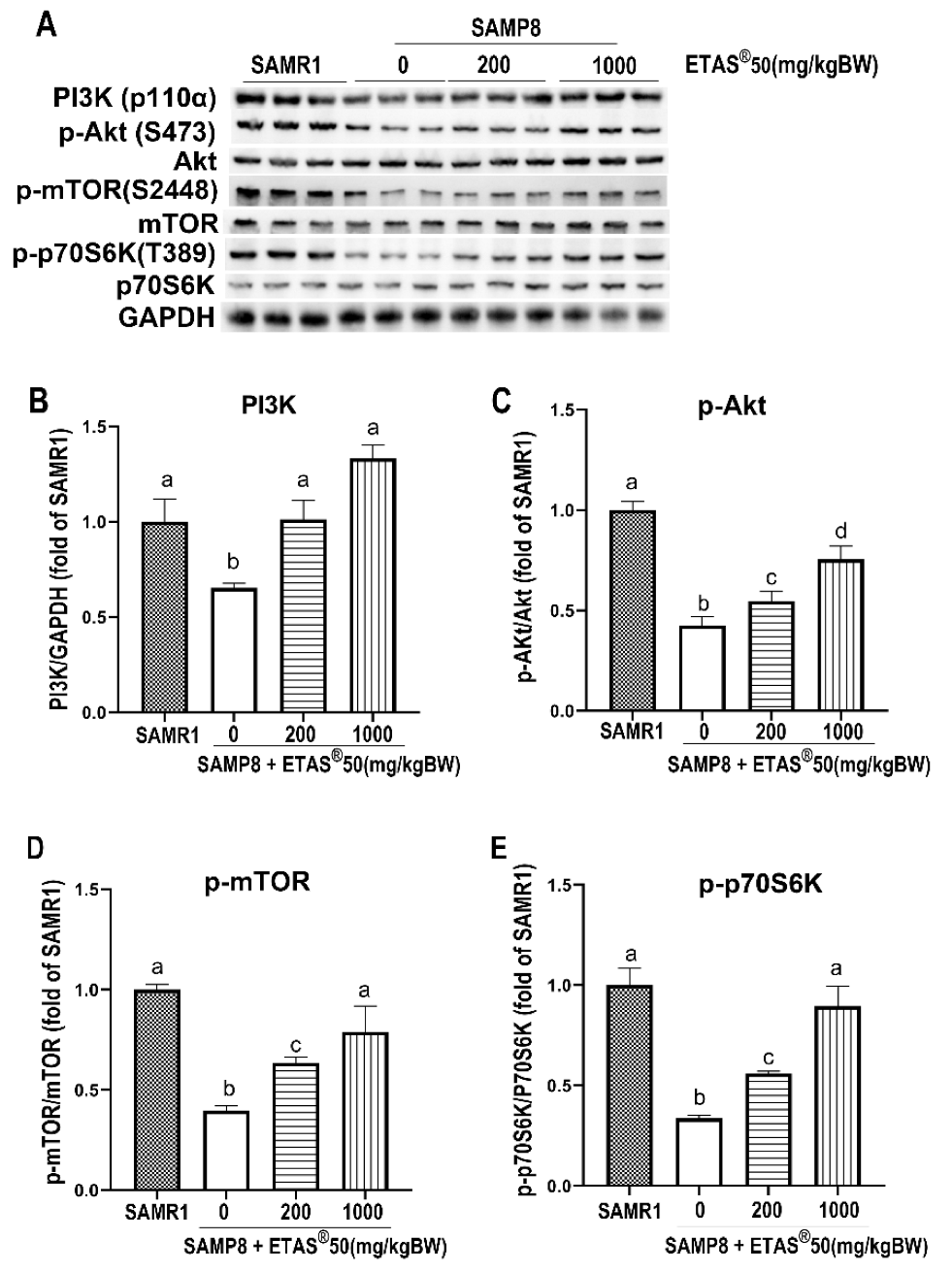 Pharmaceuticals 18 01243 g002 Pharmaceuticals 18 01243 g002