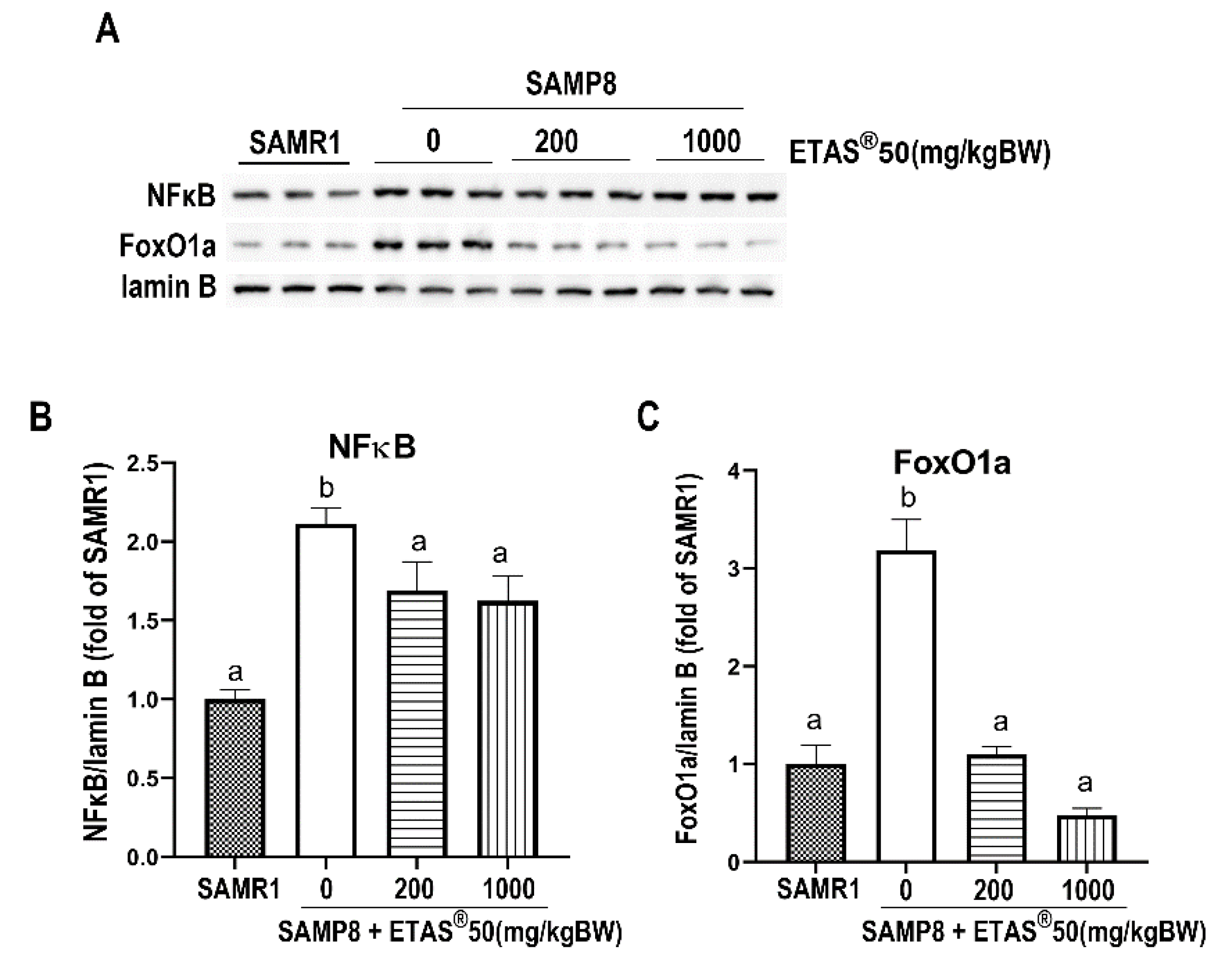 Pharmaceuticals 18 01243 g004 Pharmaceuticals 18 01243 g004