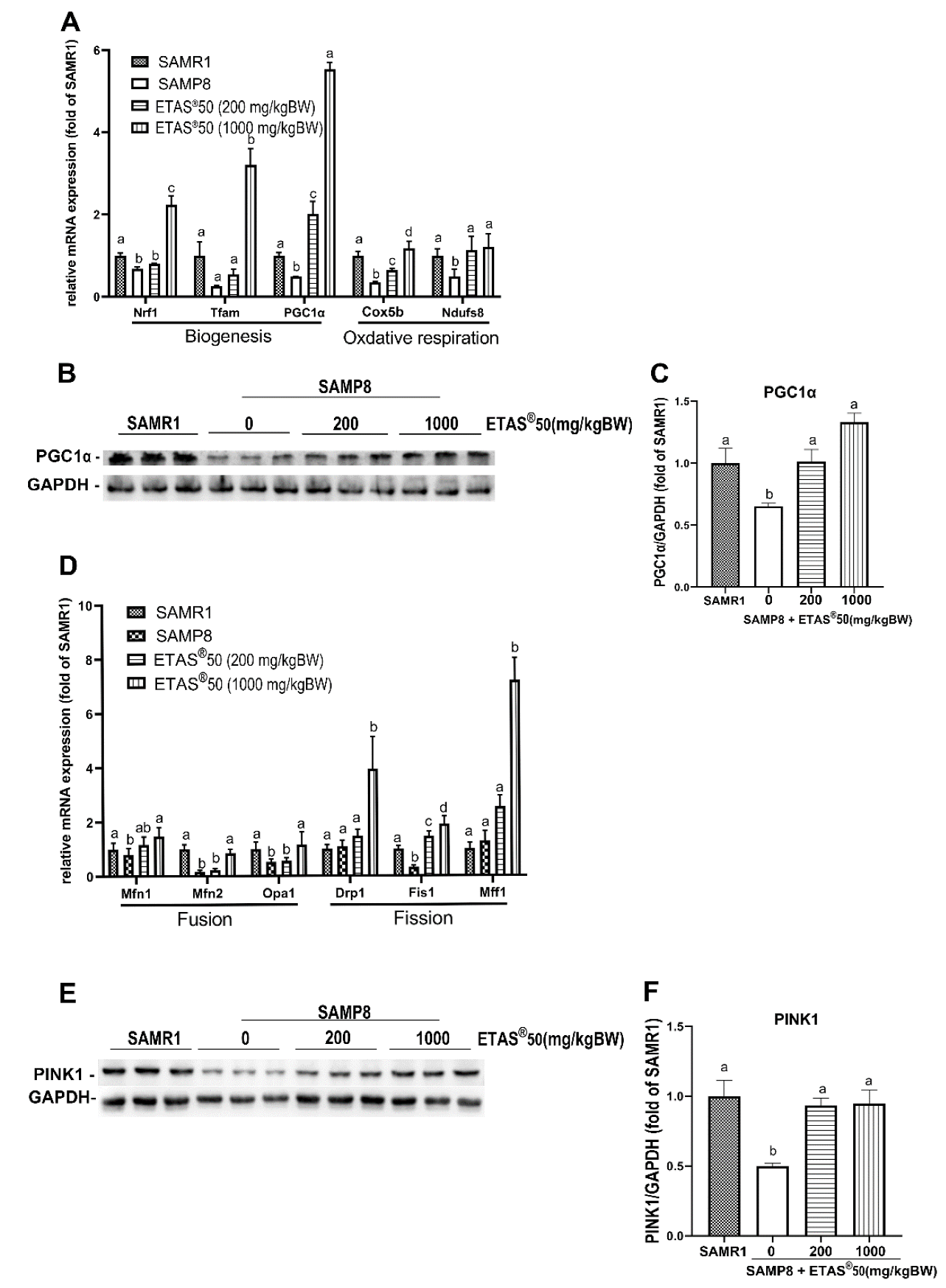 Pharmaceuticals 18 01243 g005 Pharmaceuticals 18 01243 g005