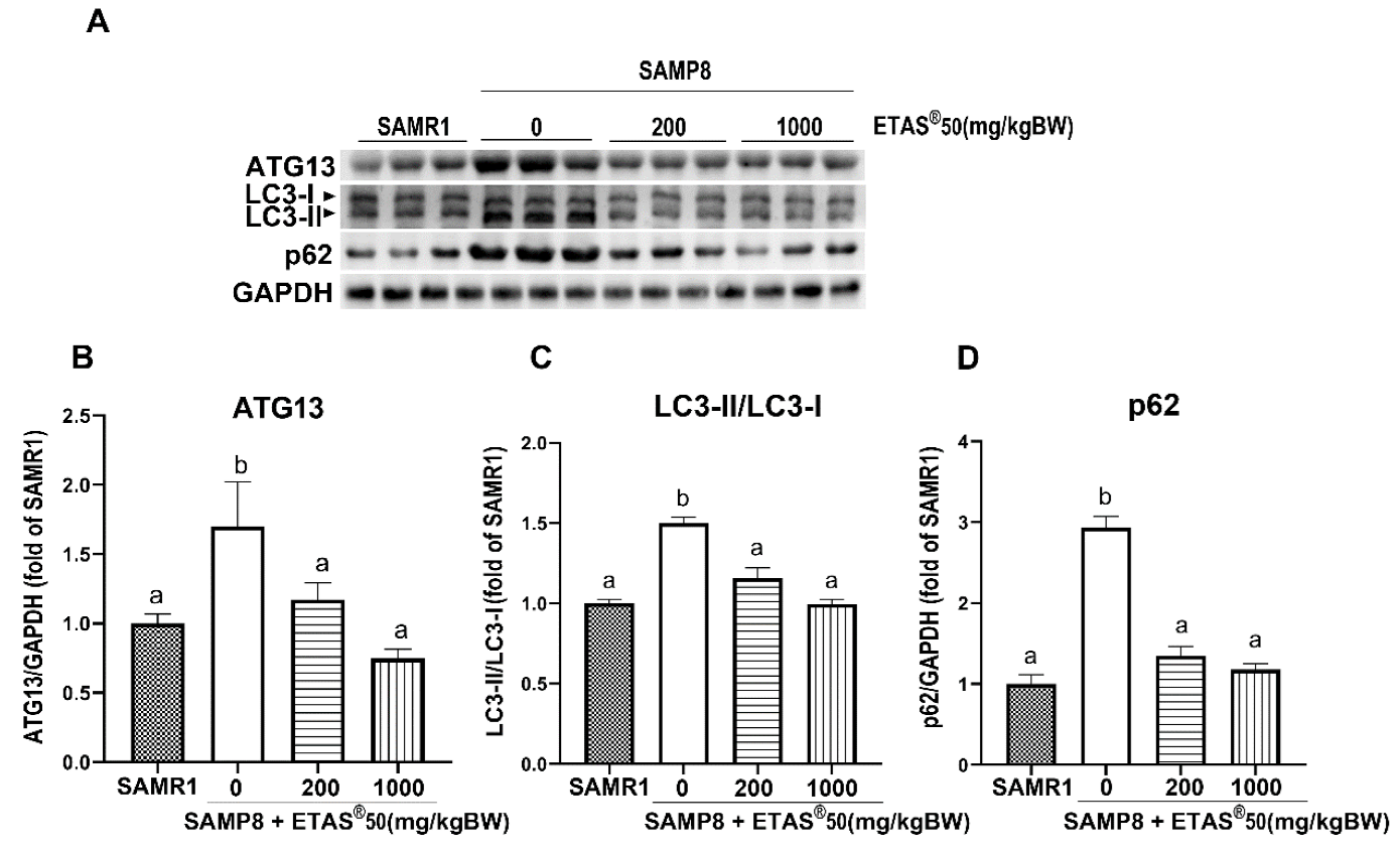 Pharmaceuticals 18 01243 g006 Pharmaceuticals 18 01243 g006