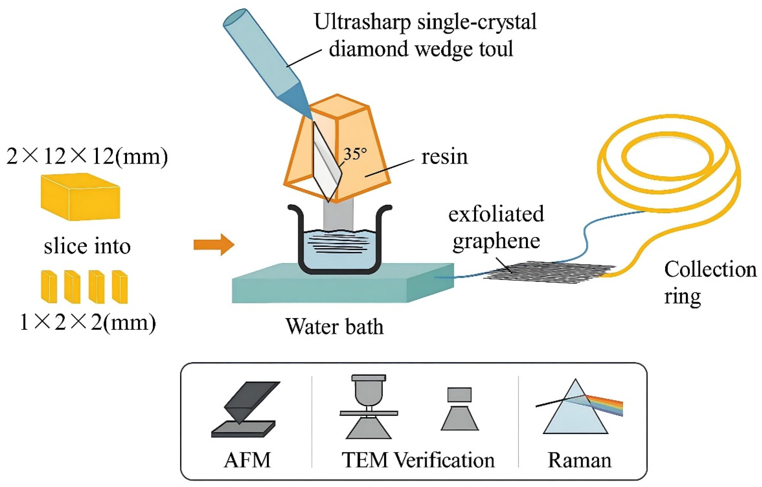 Pharmaceuticals 18 01245 g002