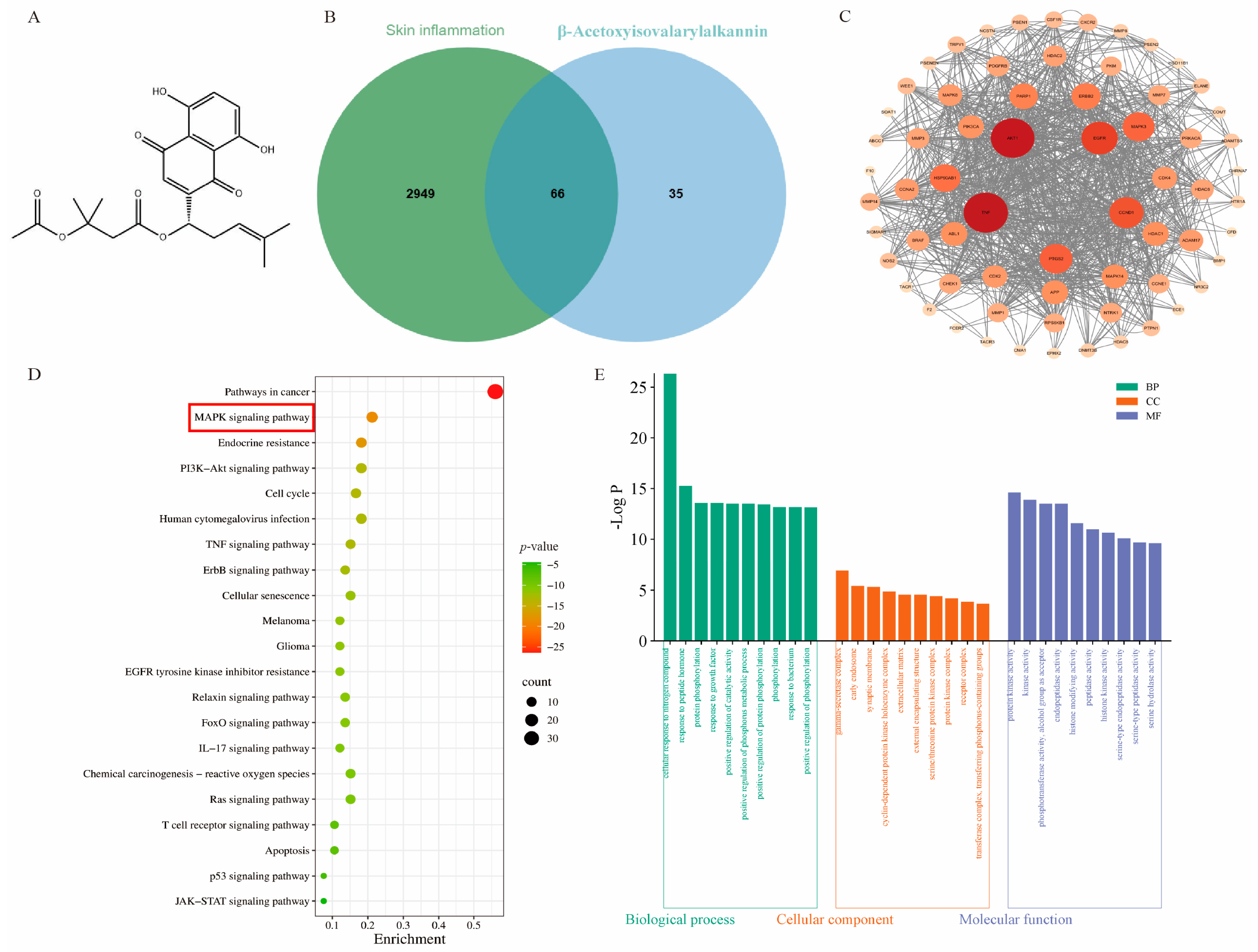 Pharmaceuticals 18 01249 g001a Pharmaceuticals 18 01249 g001a