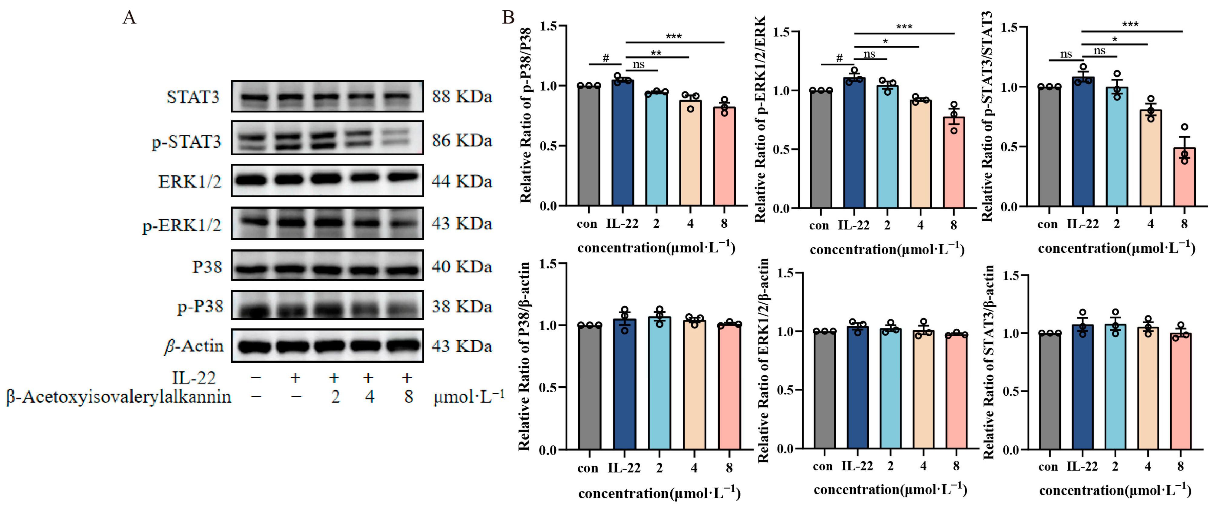Pharmaceuticals 18 01249 g005 Pharmaceuticals 18 01249 g005