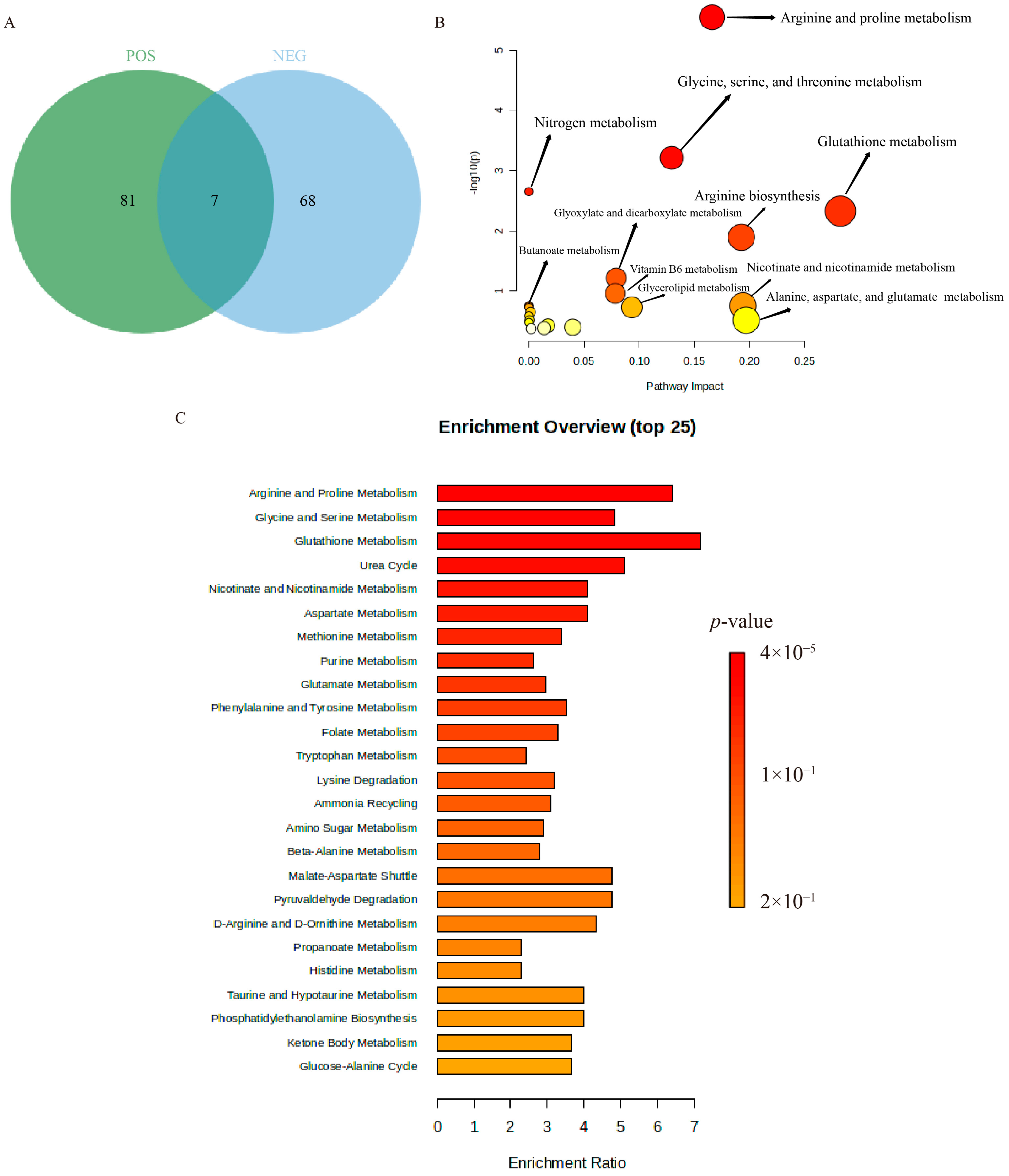 Pharmaceuticals 18 01249 g007 Pharmaceuticals 18 01249 g007