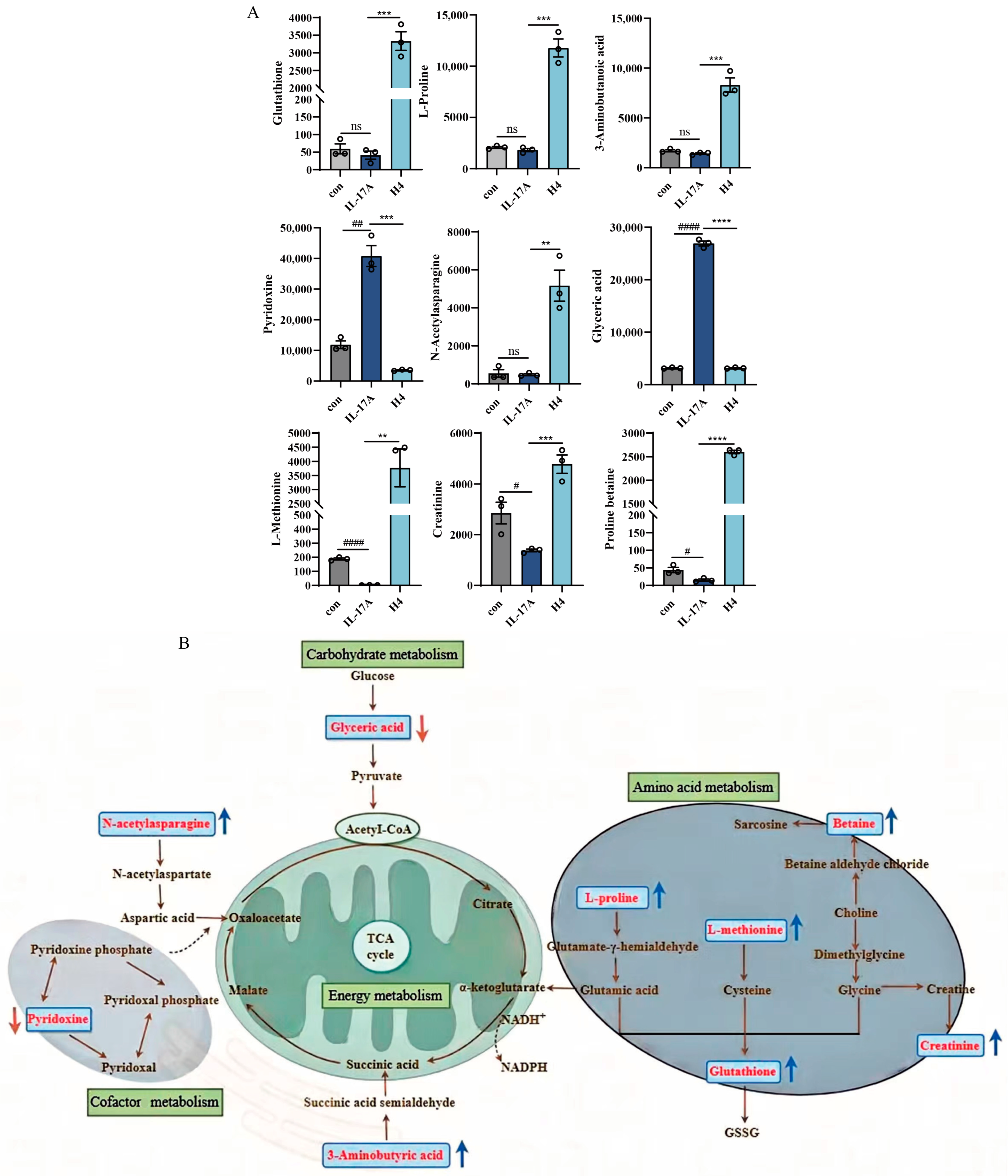 Pharmaceuticals 18 01249 g008 Pharmaceuticals 18 01249 g008