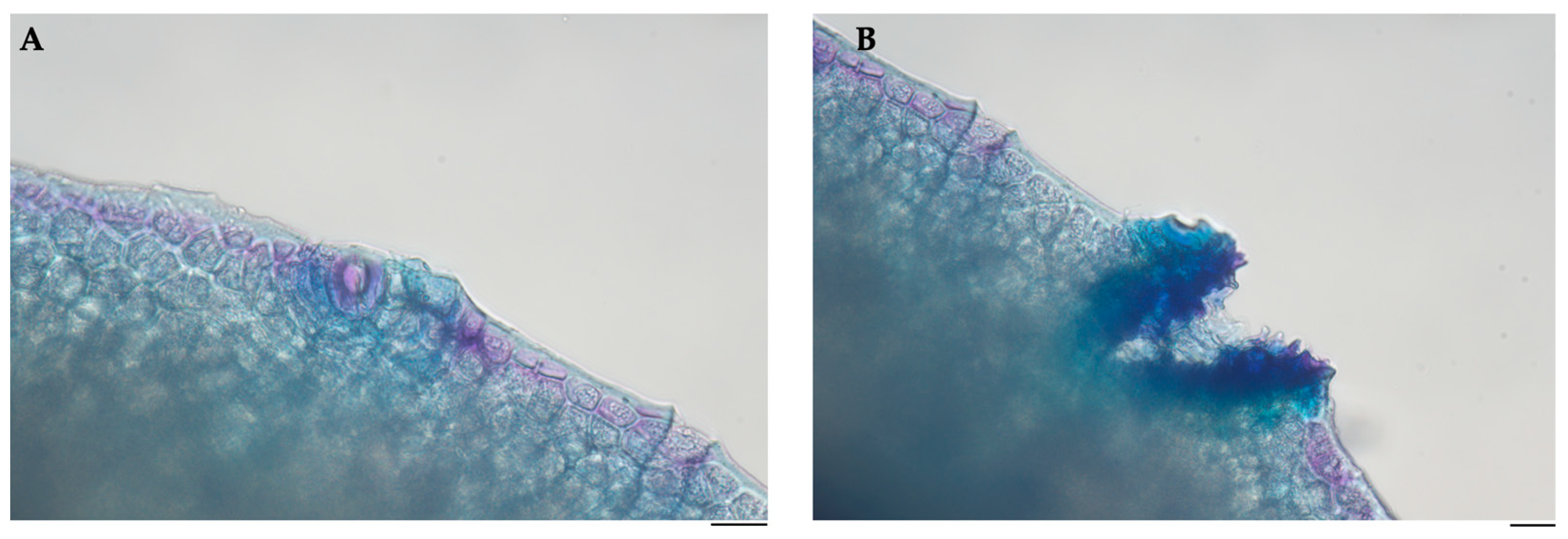 Pharmaceuticals 18 01256 g003