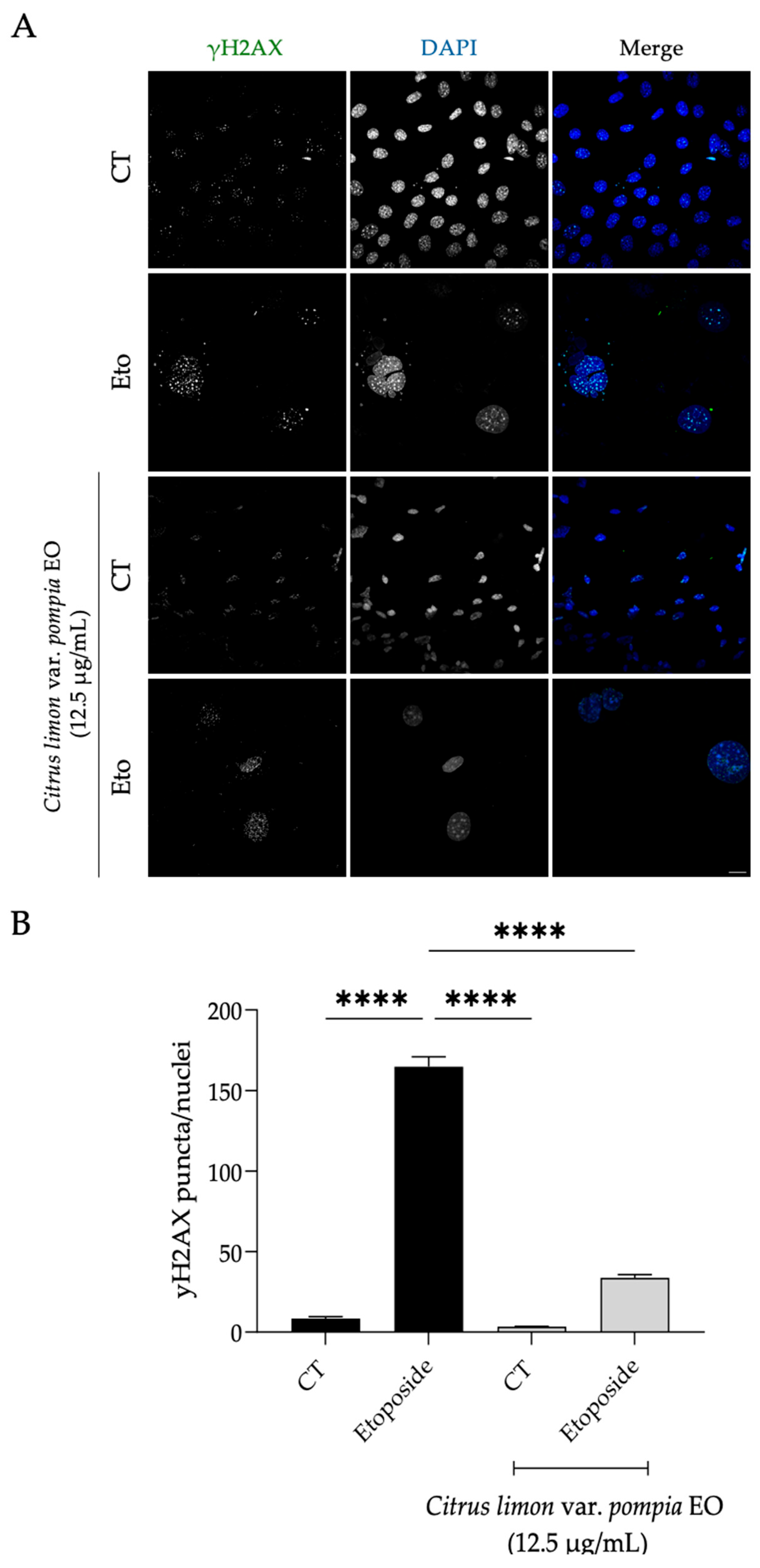 Pharmaceuticals 18 01256 g007
