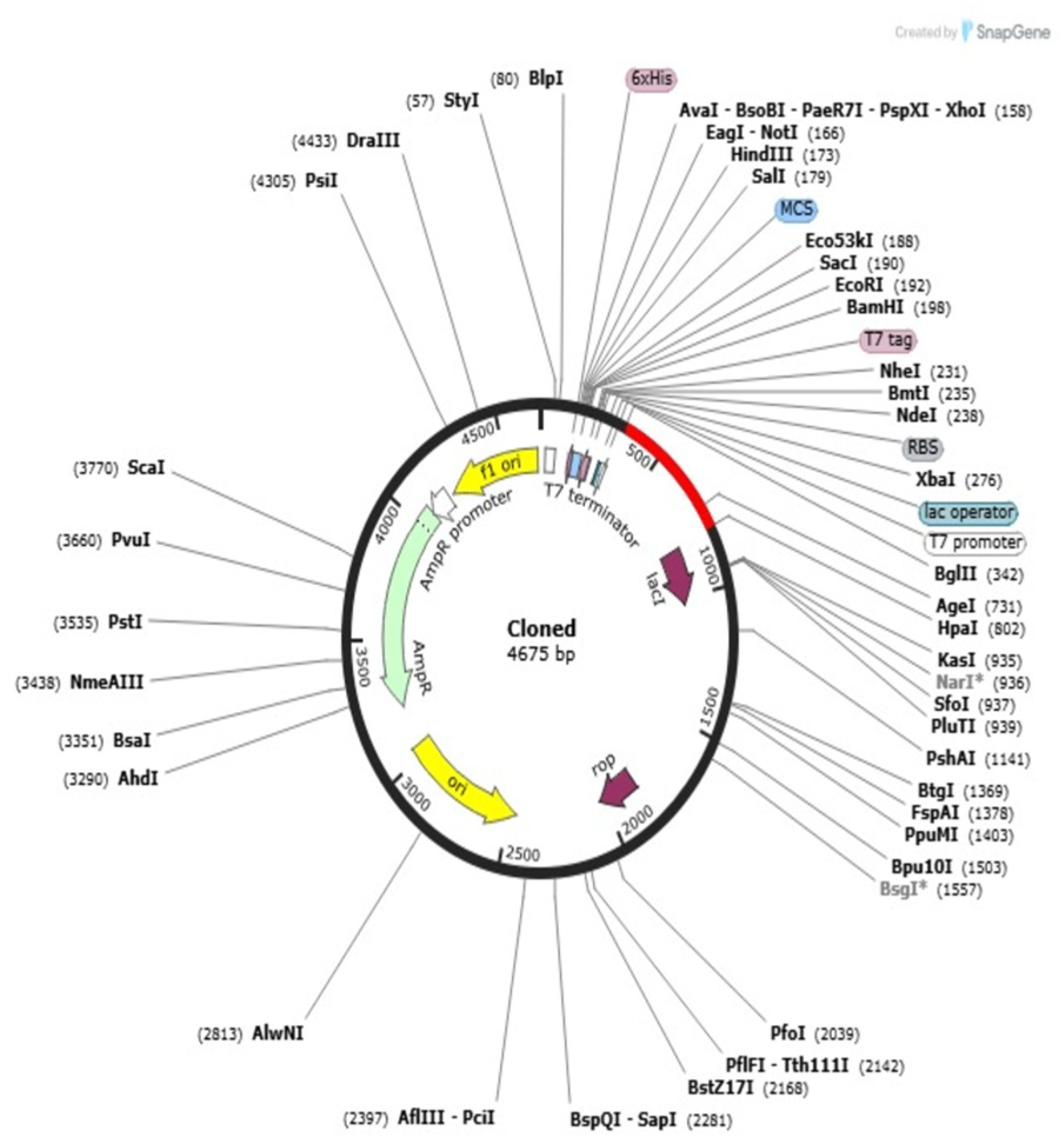 Pharmaceuticals 18 01258 g010 Pharmaceuticals 18 01258 g010