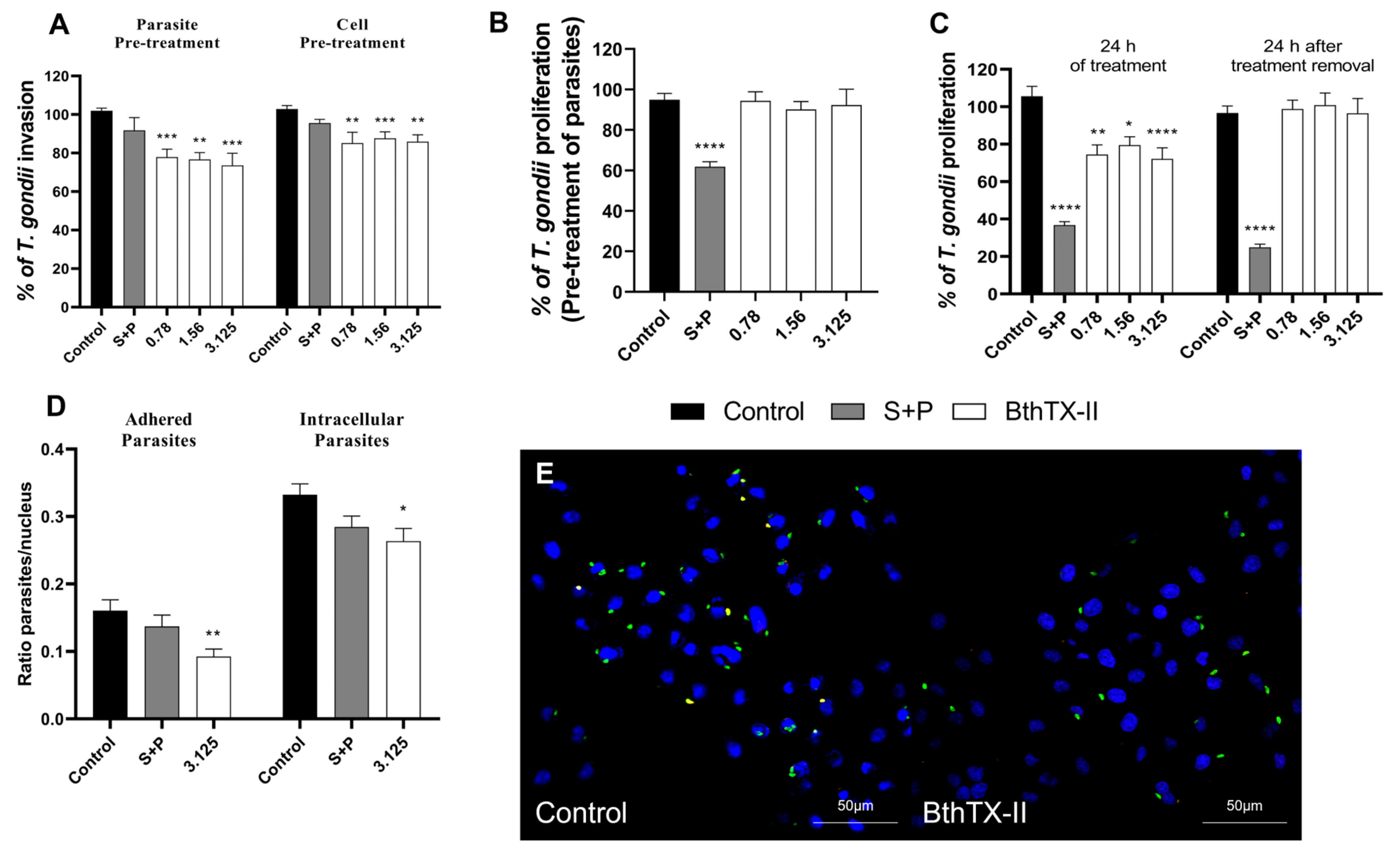 Pharmaceuticals 18 01260 g002