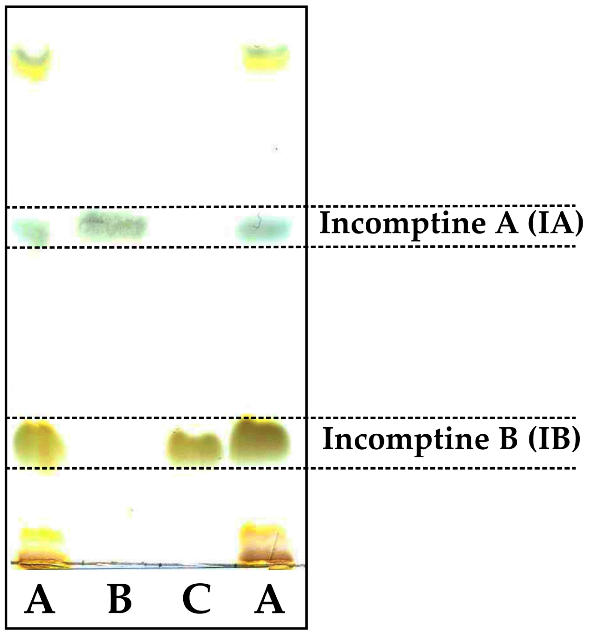 Pharmaceuticals 18 01263 g004