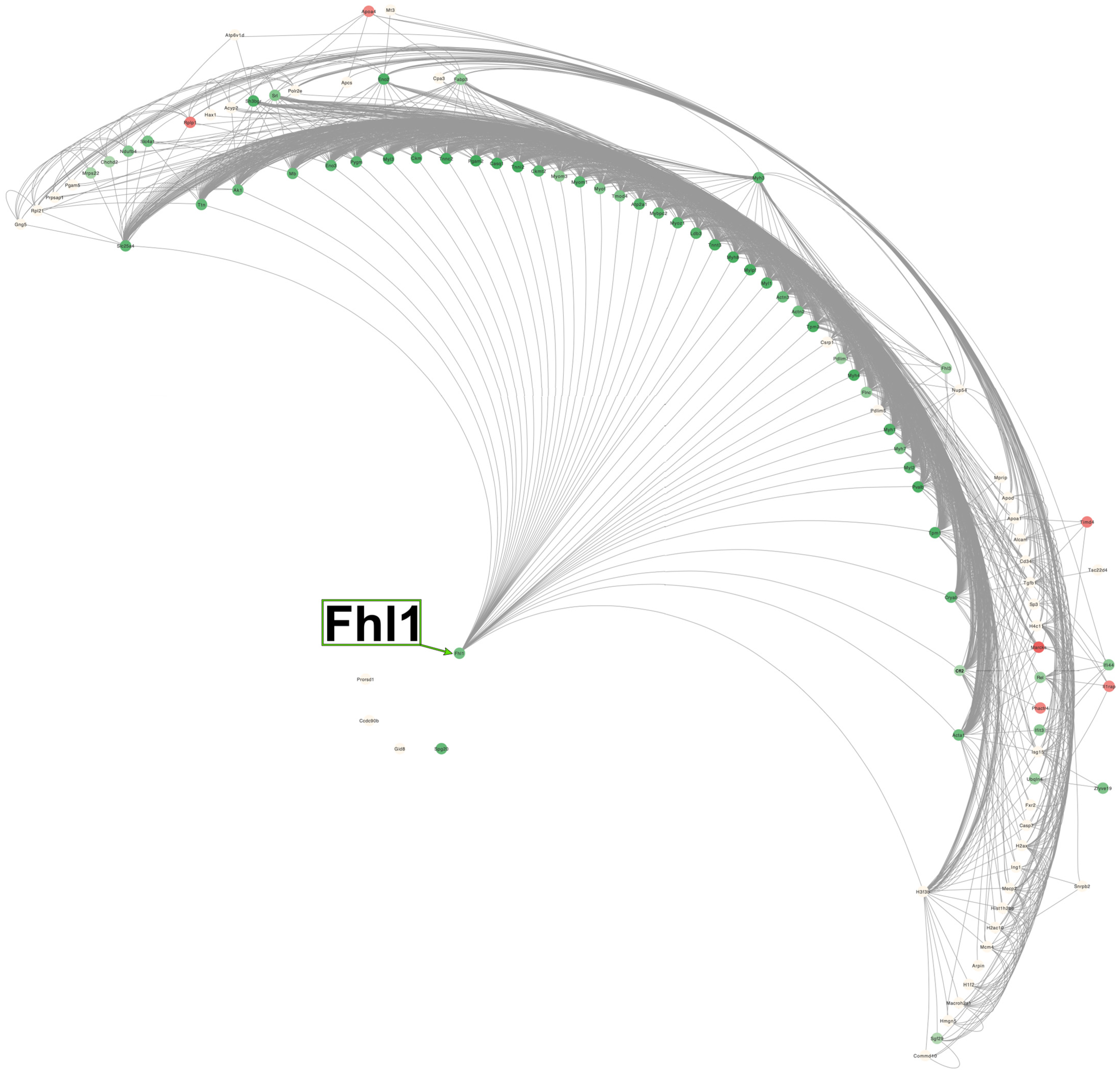 Pharmaceuticals 18 01263 g006