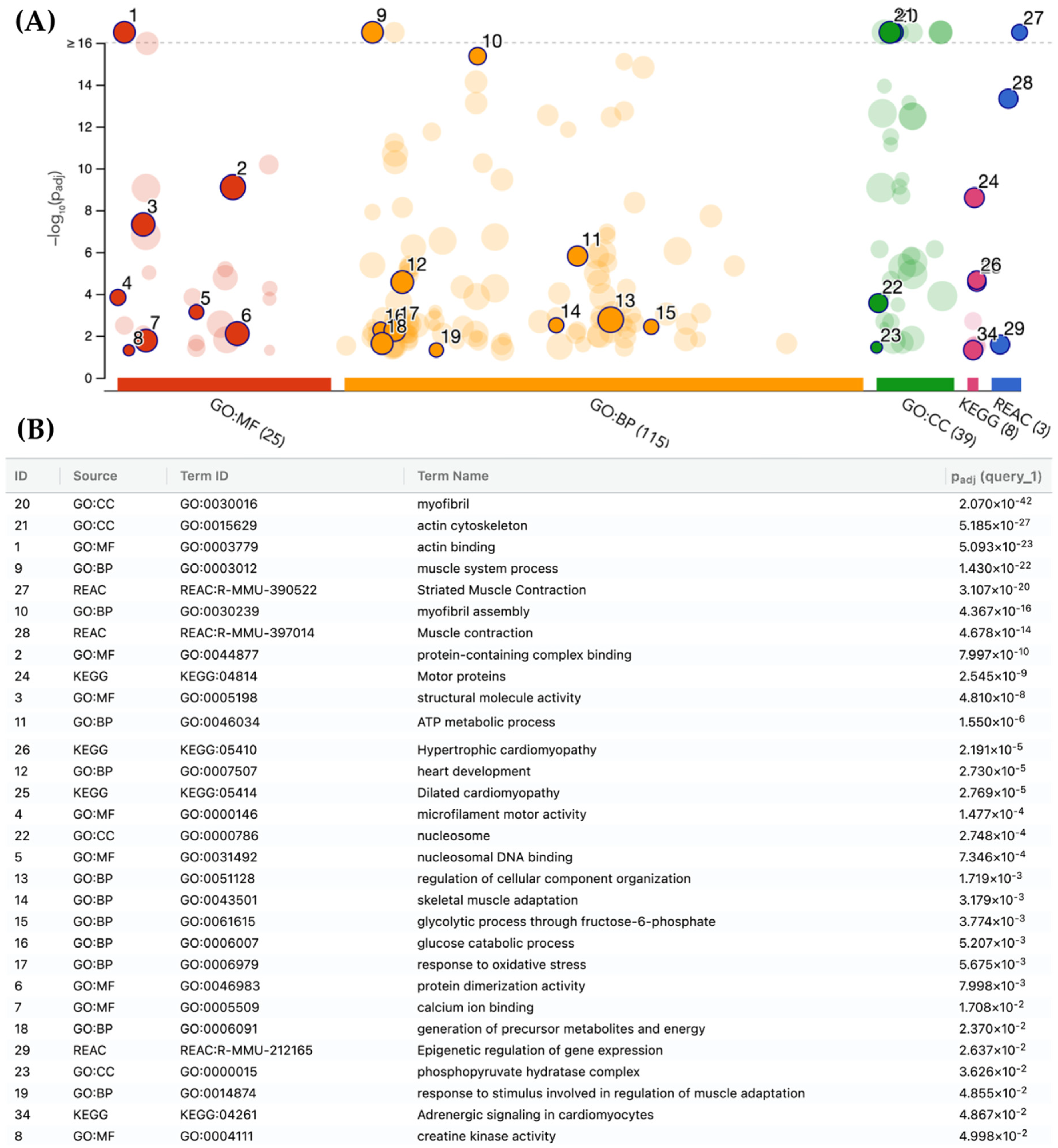 Pharmaceuticals 18 01263 g007