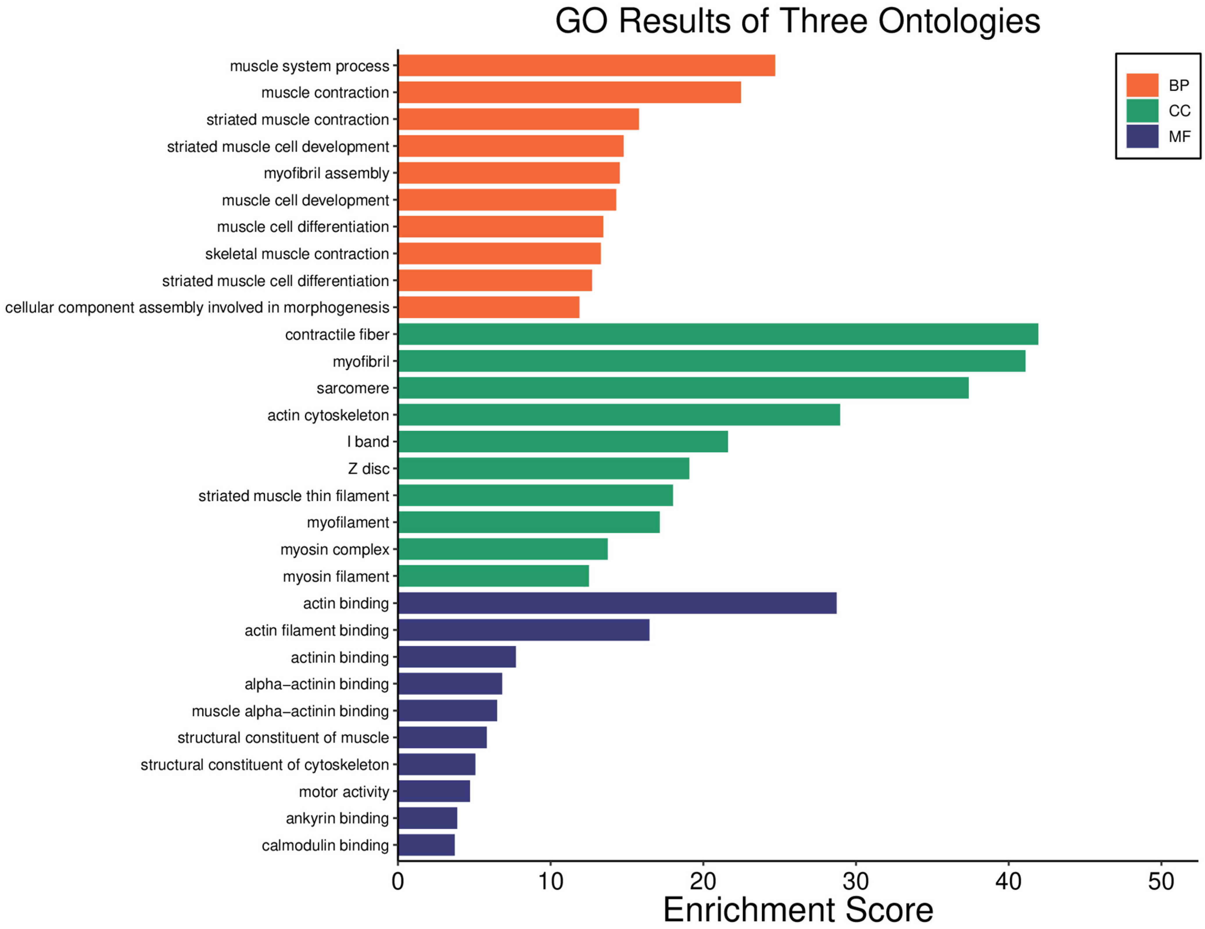 Pharmaceuticals 18 01263 g008