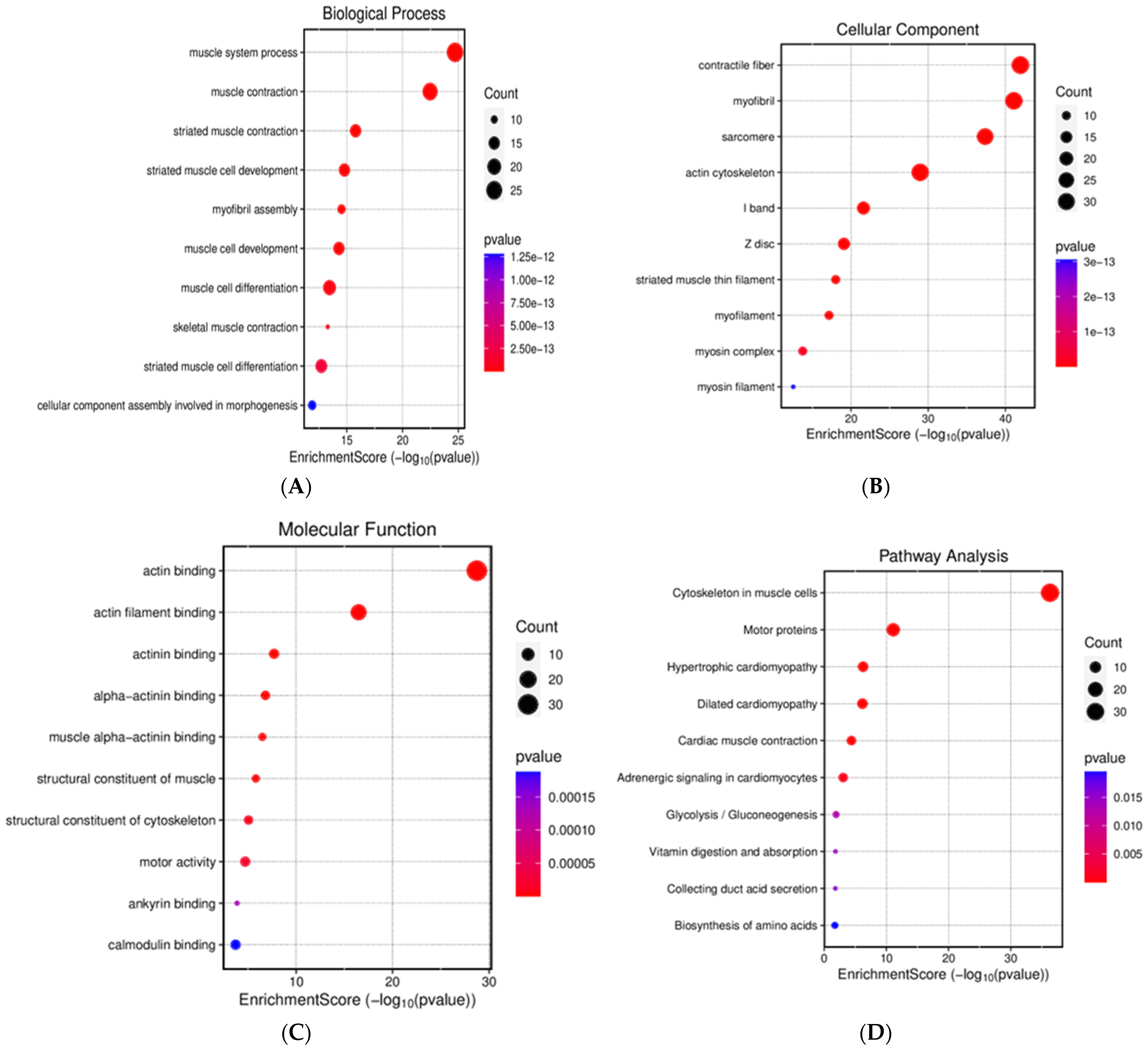 Pharmaceuticals 18 01263 g009