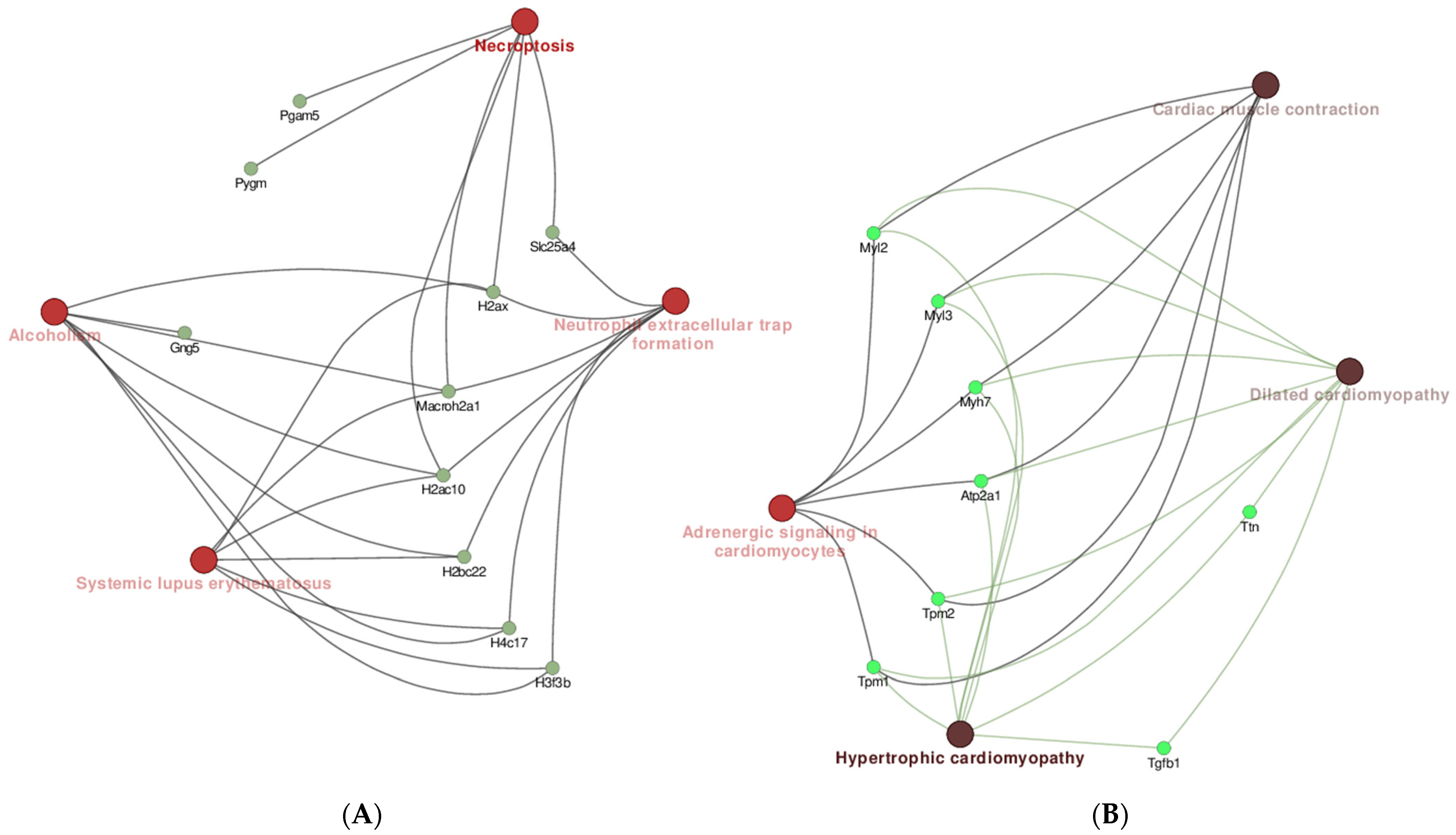 Pharmaceuticals 18 01263 g010