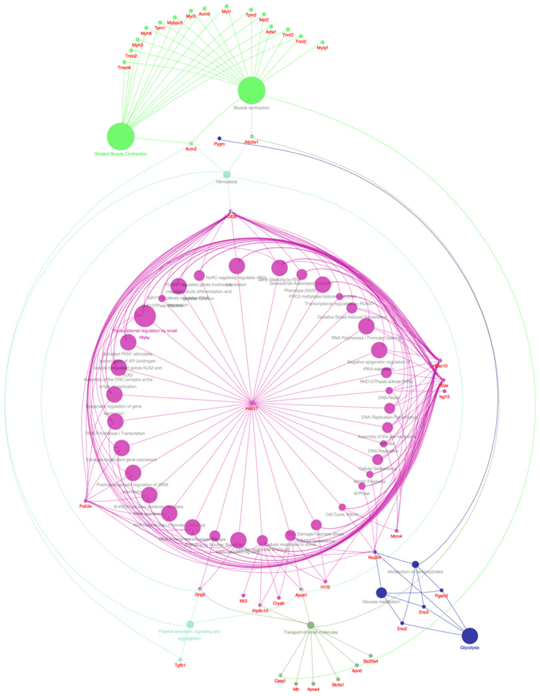 Pharmaceuticals 18 01263 g011