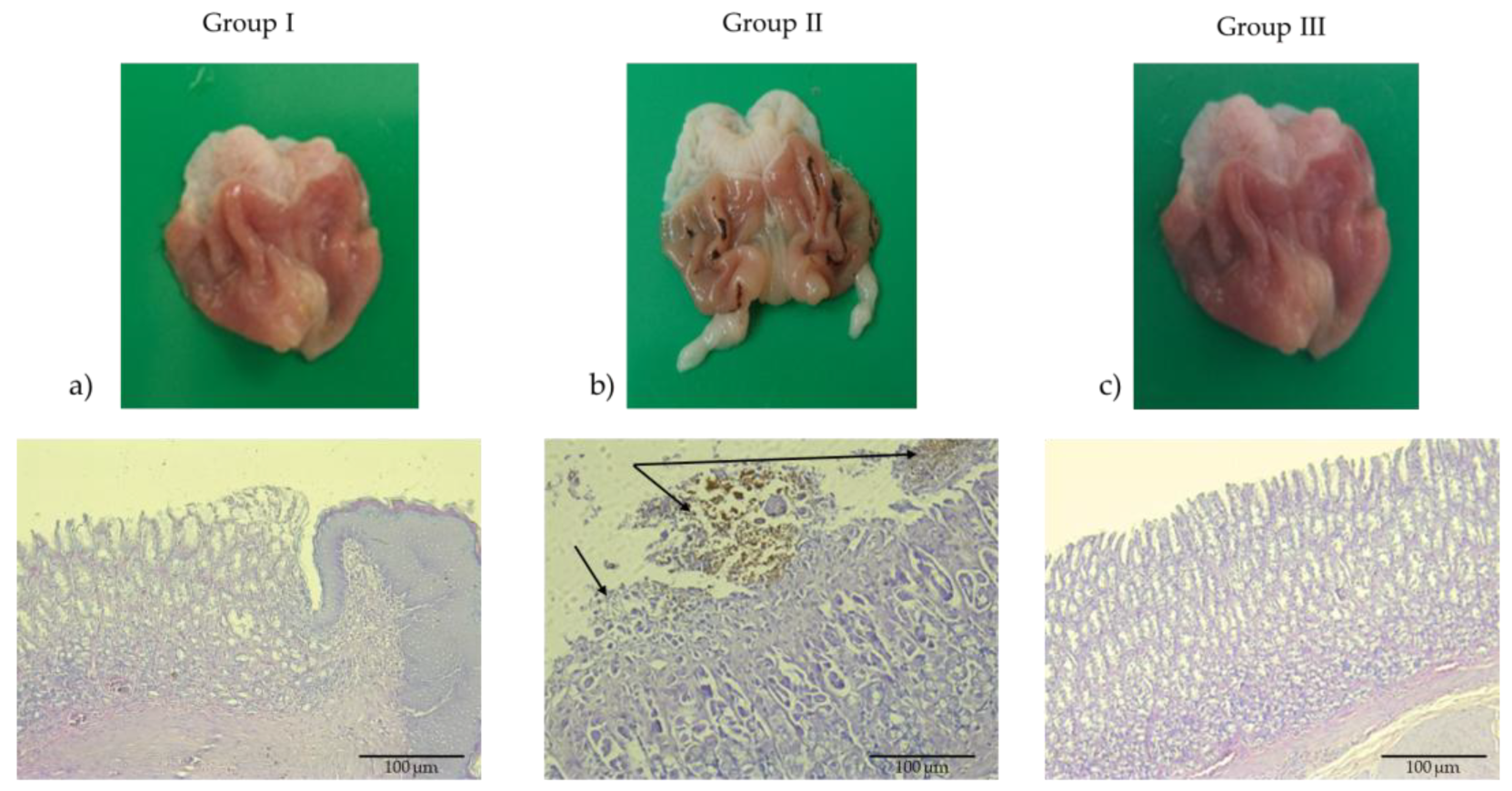 Pharmaceuticals 18 01265 g003 Pharmaceuticals 18 01265 g003