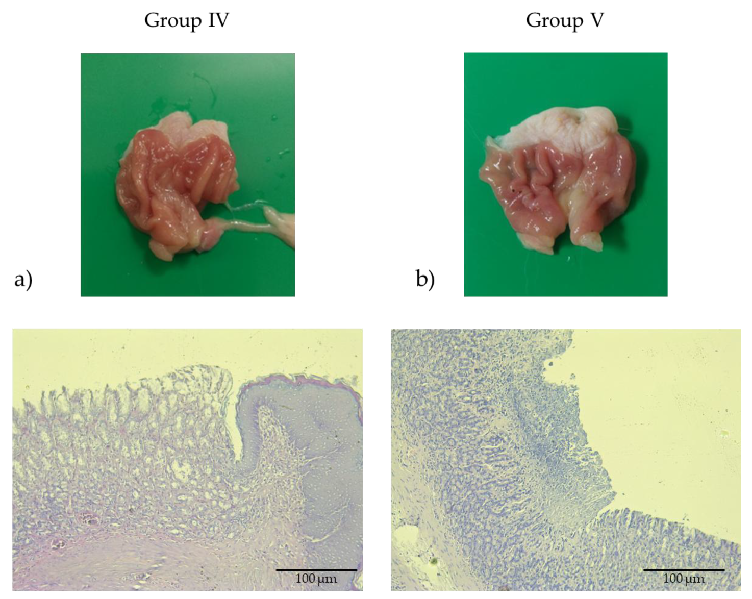 Pharmaceuticals 18 01265 g004 Pharmaceuticals 18 01265 g004