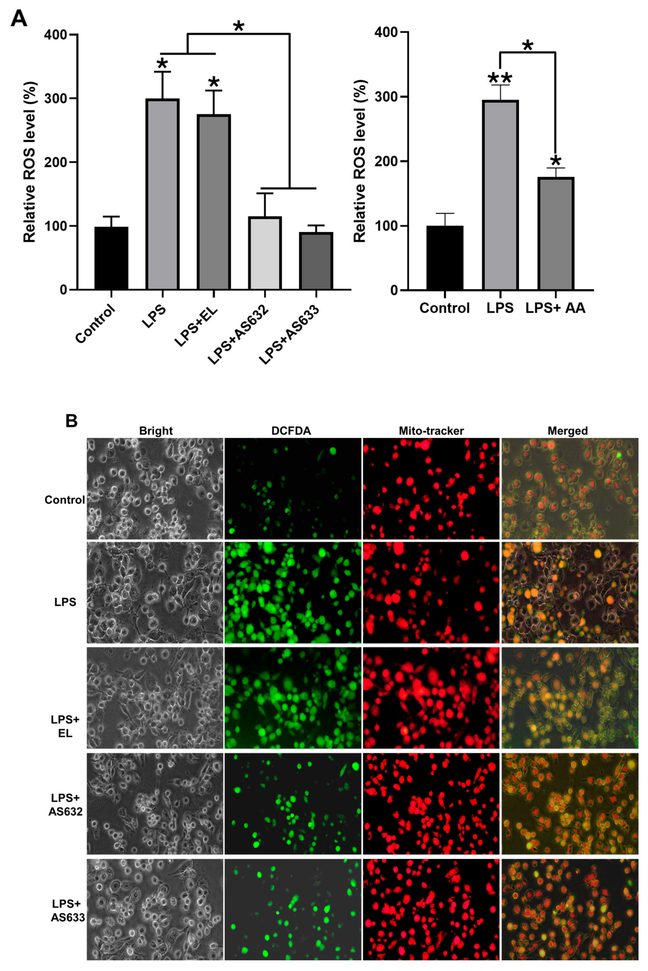 Pharmaceuticals 18 01270 g003 Pharmaceuticals 18 01270 g003