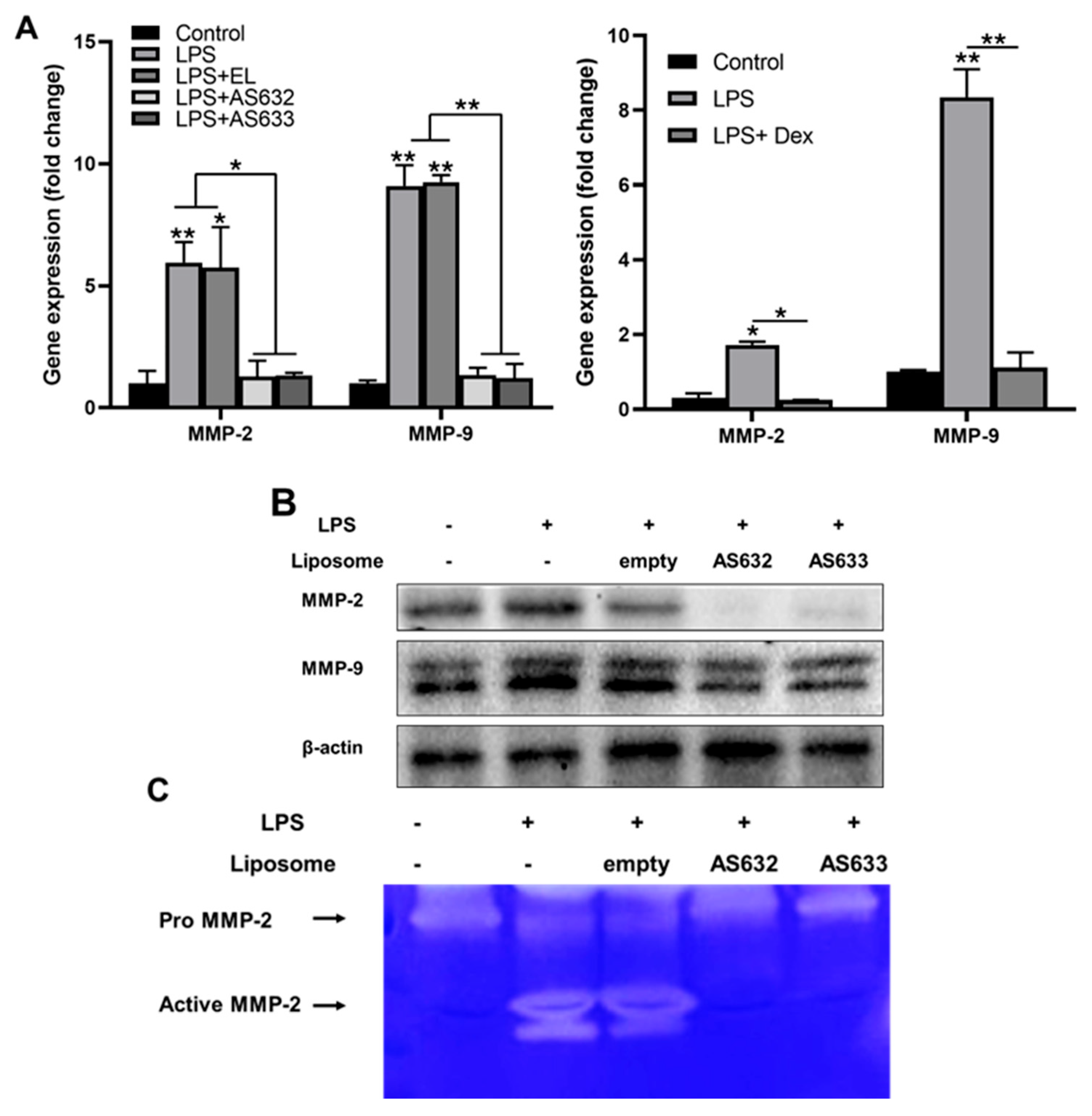 Pharmaceuticals 18 01270 g004 Pharmaceuticals 18 01270 g004