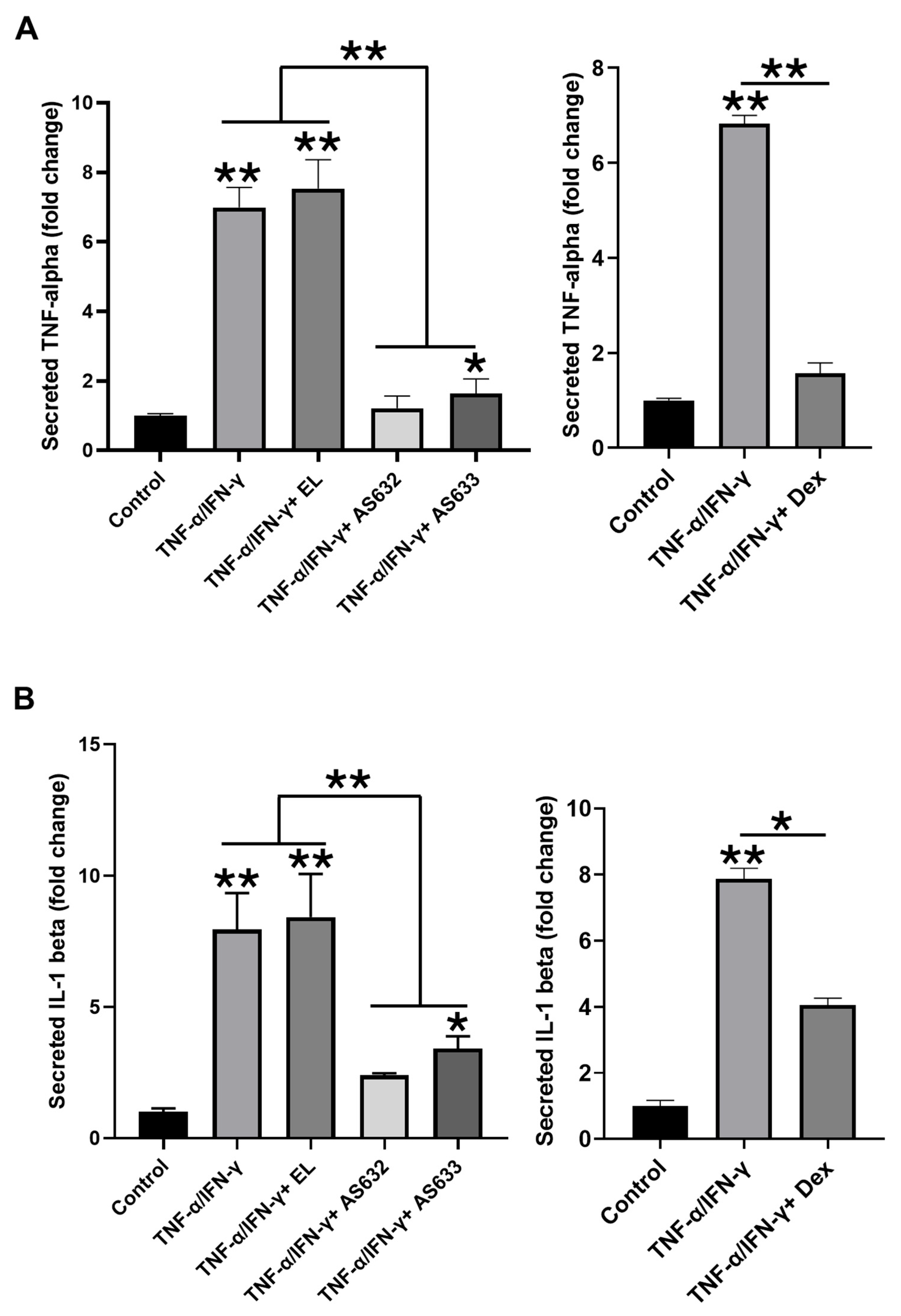 Pharmaceuticals 18 01270 g005 Pharmaceuticals 18 01270 g005
