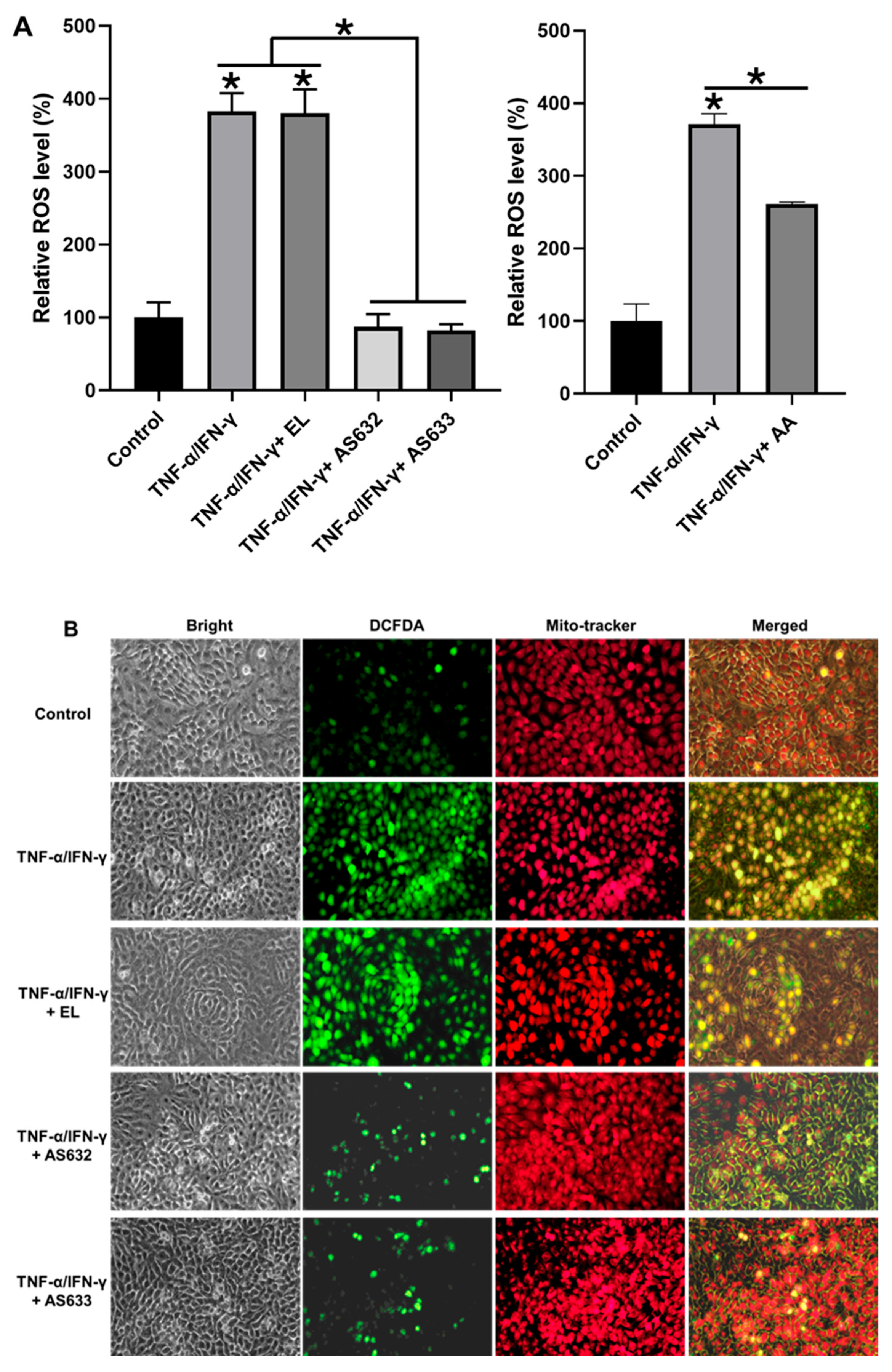 Pharmaceuticals 18 01270 g006 Pharmaceuticals 18 01270 g006