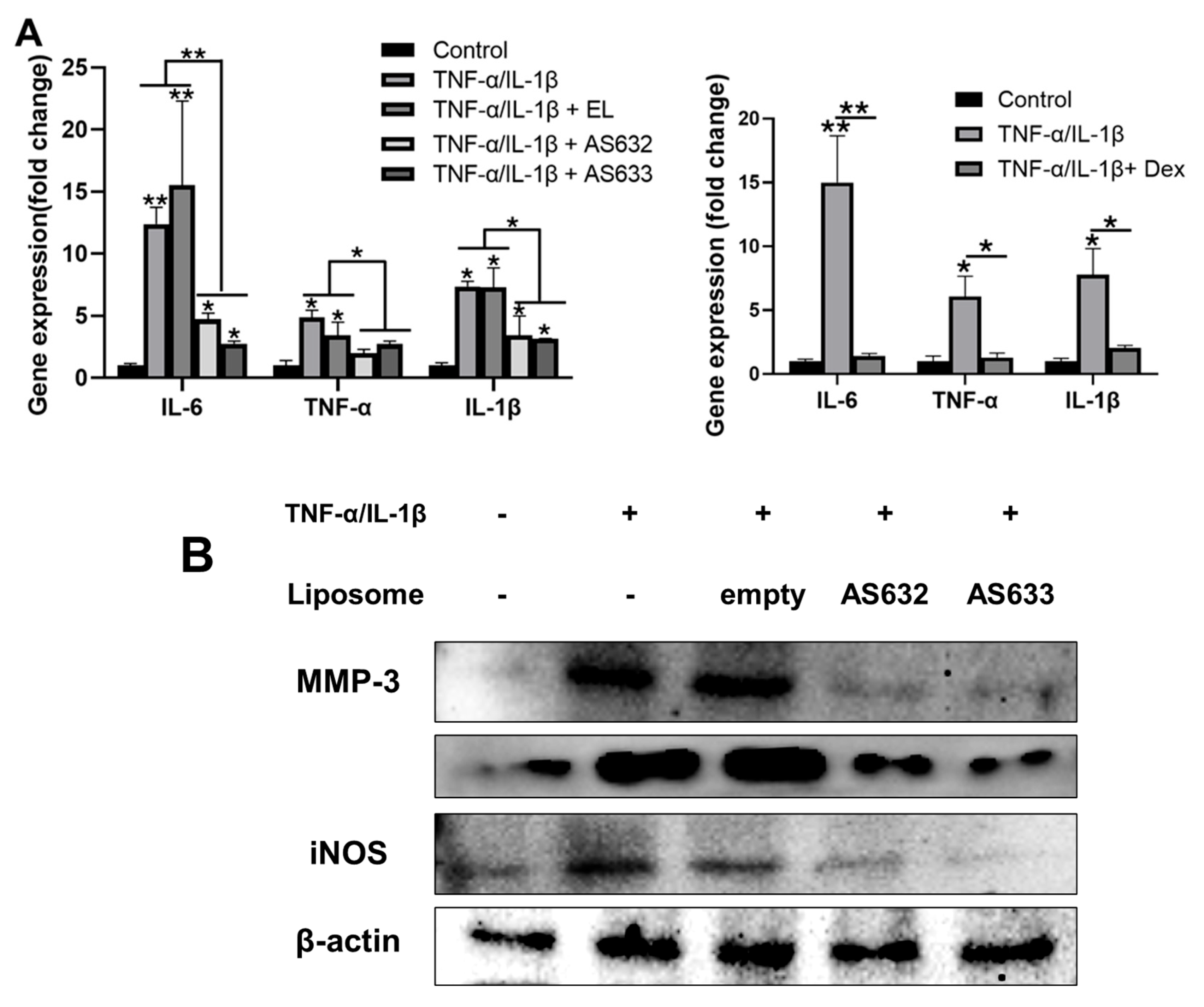 Pharmaceuticals 18 01270 g008 Pharmaceuticals 18 01270 g008