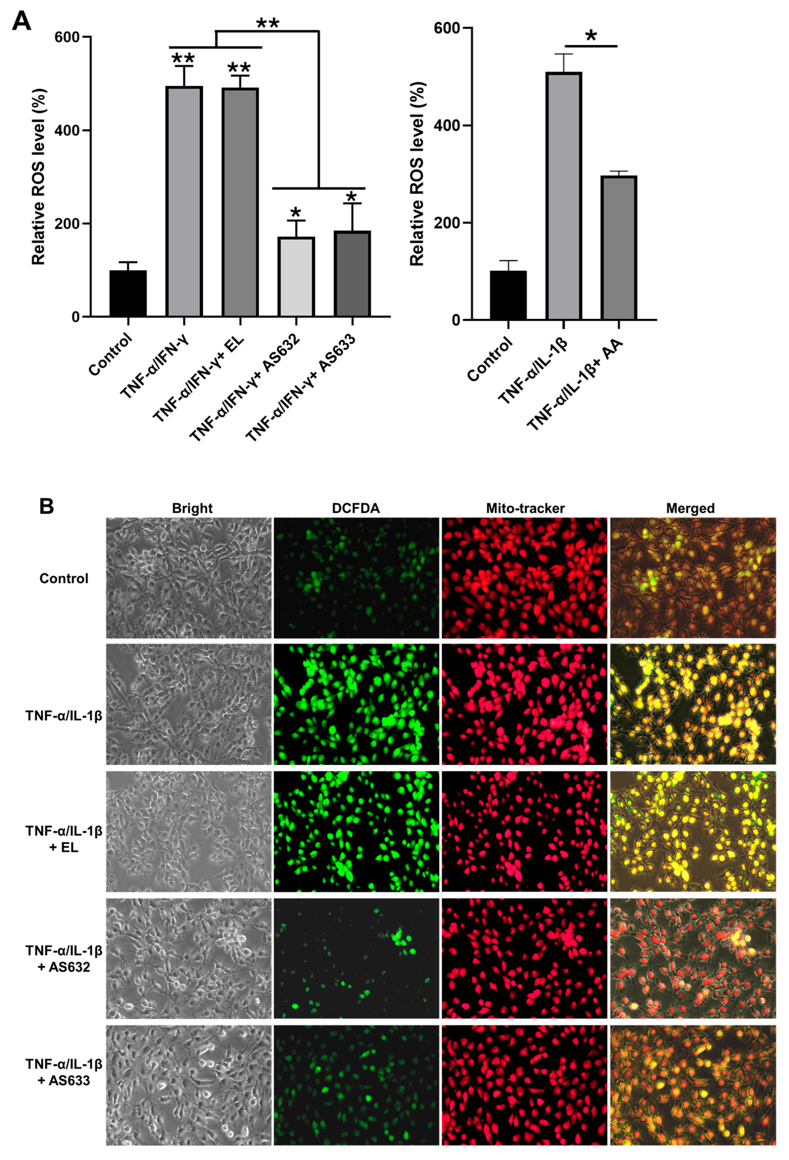 Pharmaceuticals 18 01270 g009 Pharmaceuticals 18 01270 g009