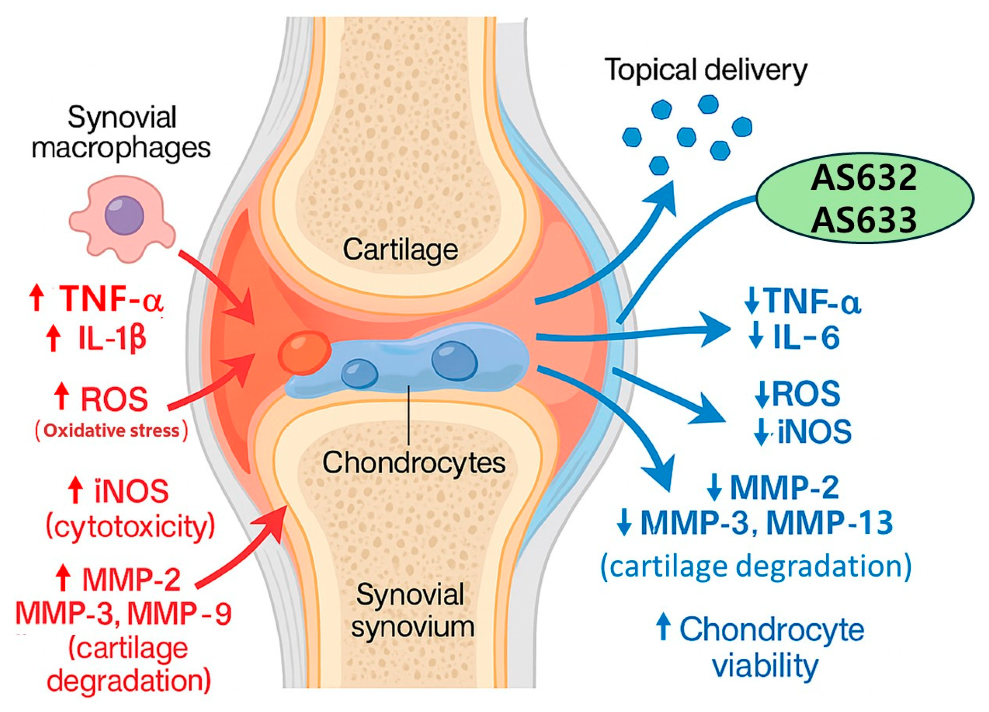 Pharmaceuticals 18 01270 g010 Pharmaceuticals 18 01270 g010