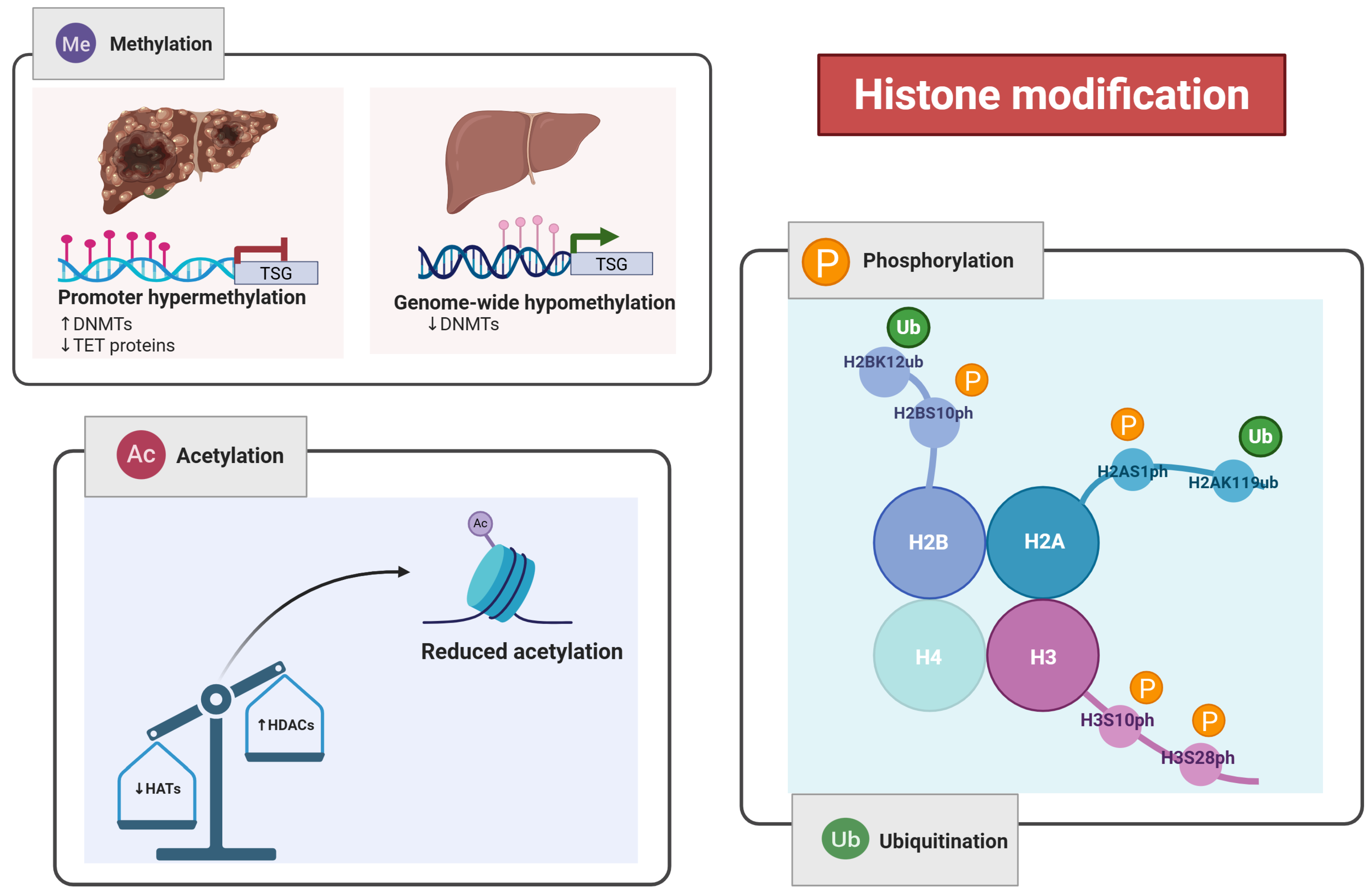 Pharmaceuticals 18 01281 g001 Pharmaceuticals 18 01281 g001