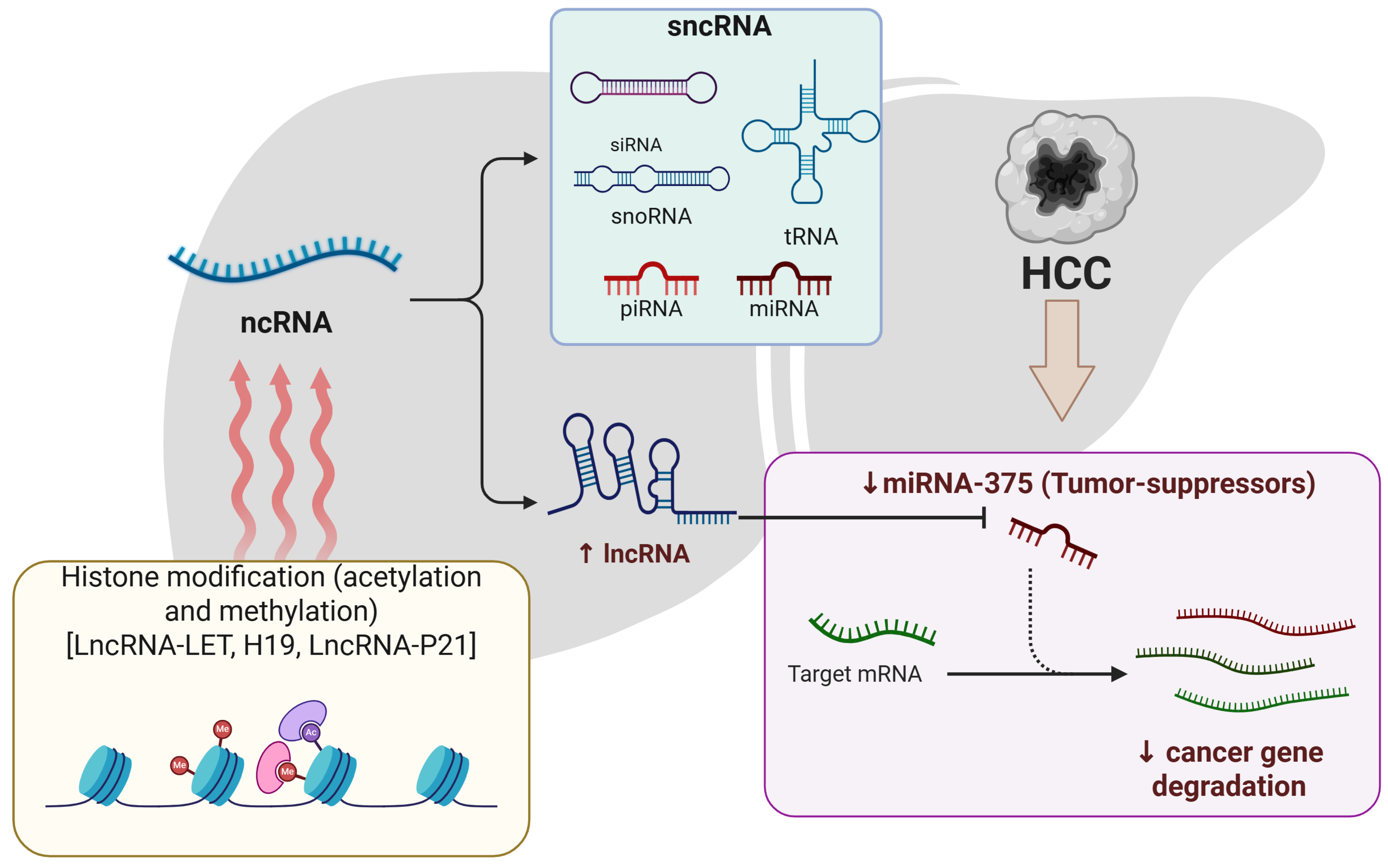Pharmaceuticals 18 01281 g002 Pharmaceuticals 18 01281 g002