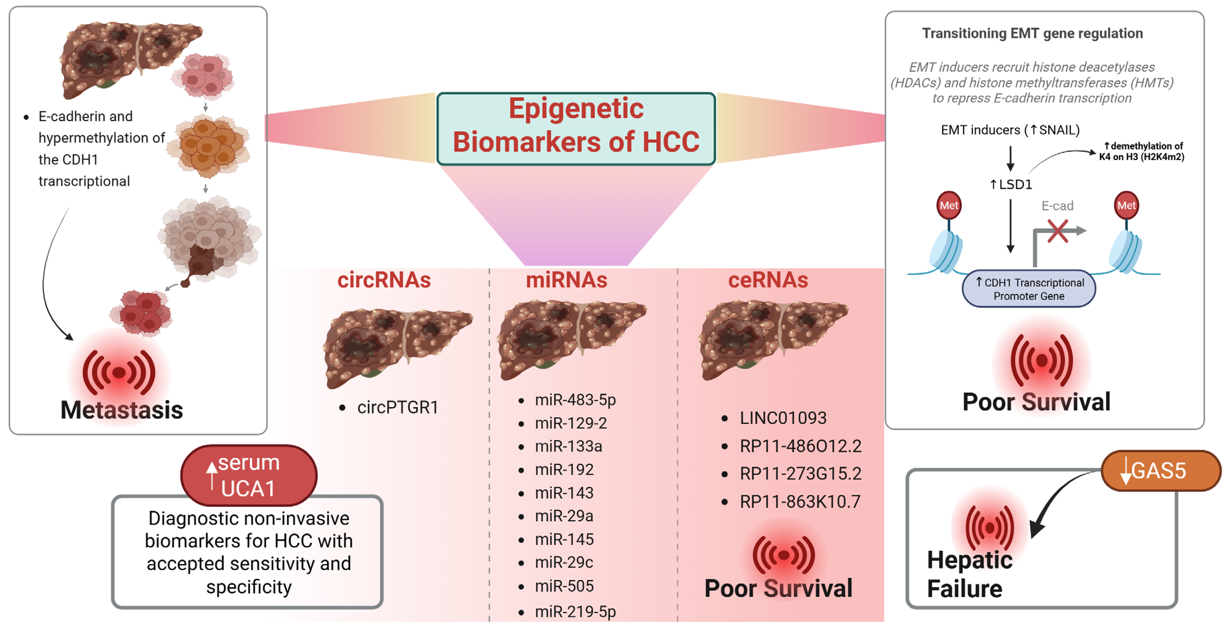 Pharmaceuticals 18 01281 g003 Pharmaceuticals 18 01281 g003