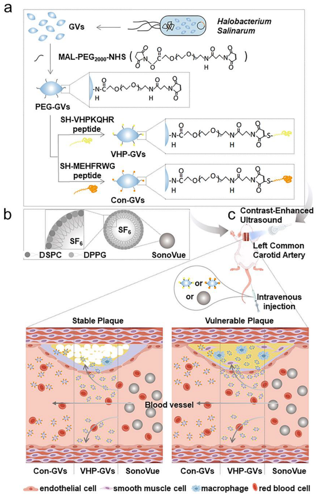 Pharmaceuticals 18 01285 g001 Pharmaceuticals 18 01285 g001
