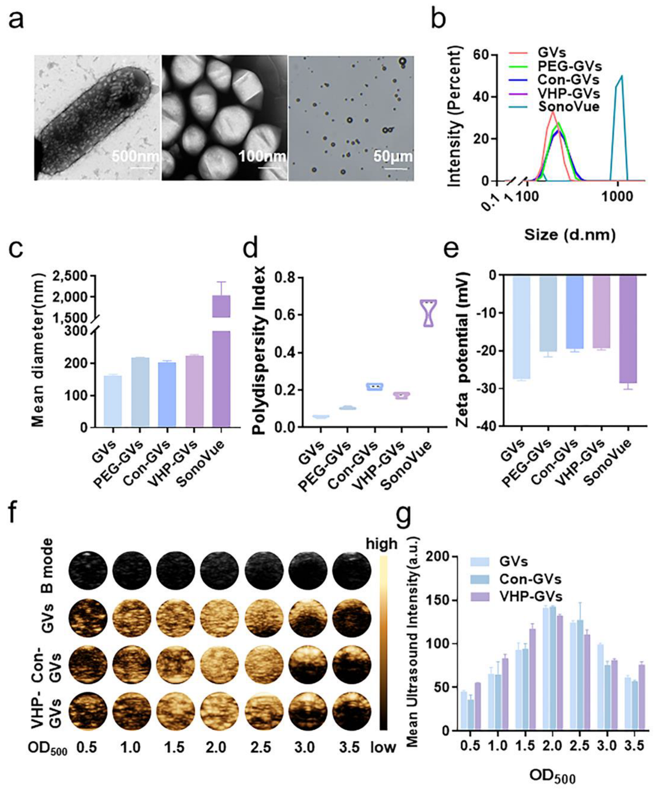 Pharmaceuticals 18 01285 g002 Pharmaceuticals 18 01285 g002