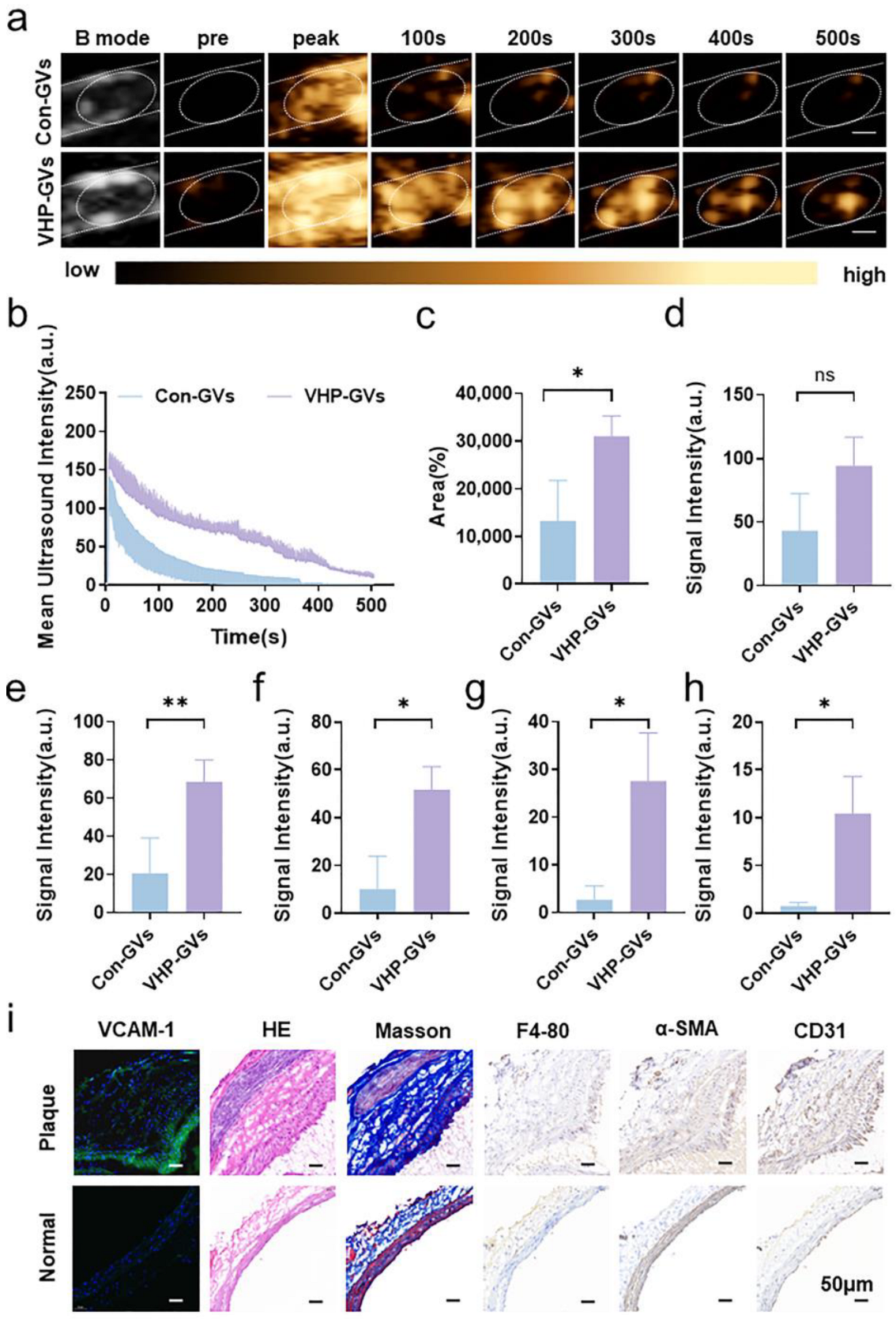 Pharmaceuticals 18 01285 g006 Pharmaceuticals 18 01285 g006