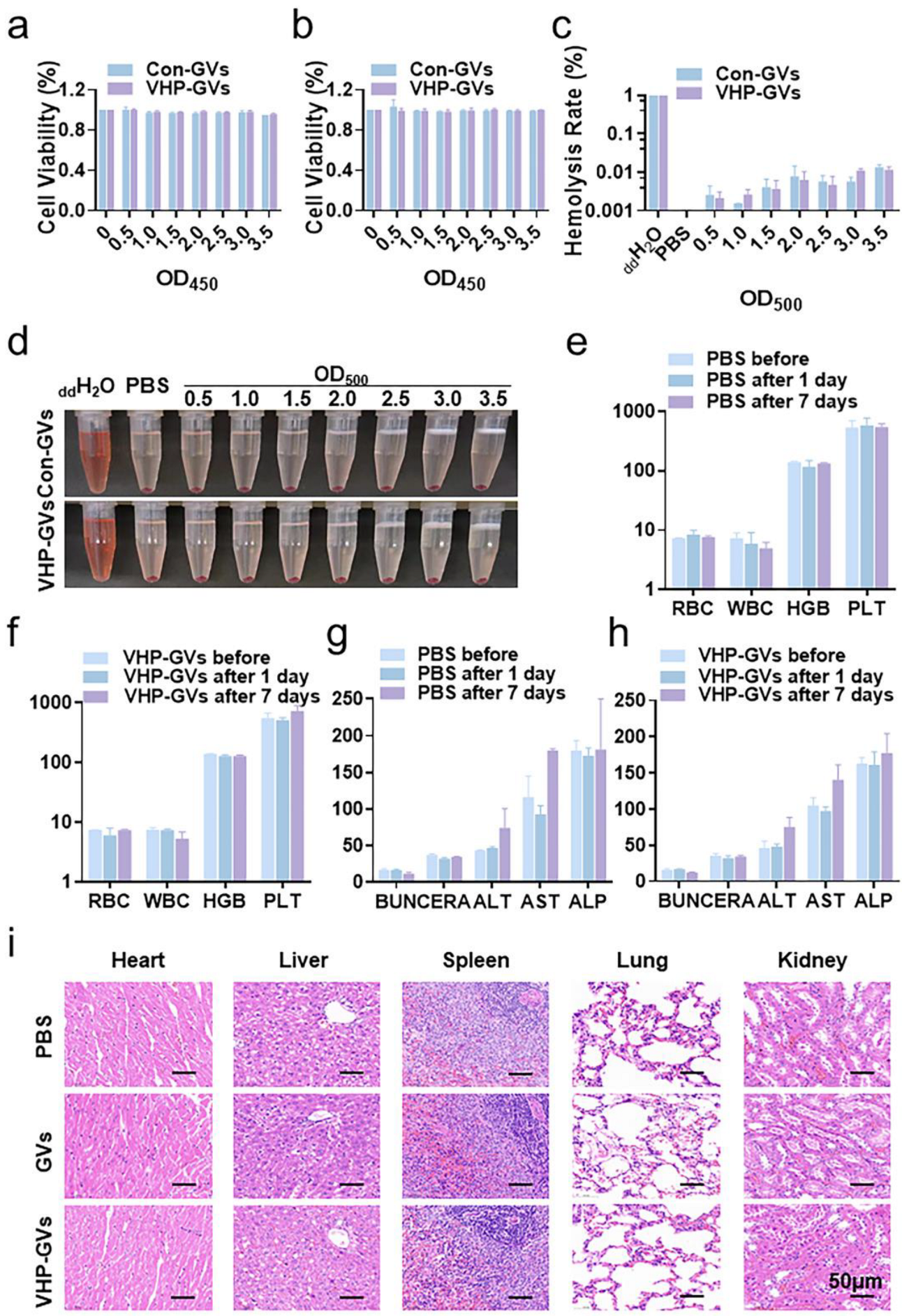 Pharmaceuticals 18 01285 g007 Pharmaceuticals 18 01285 g007