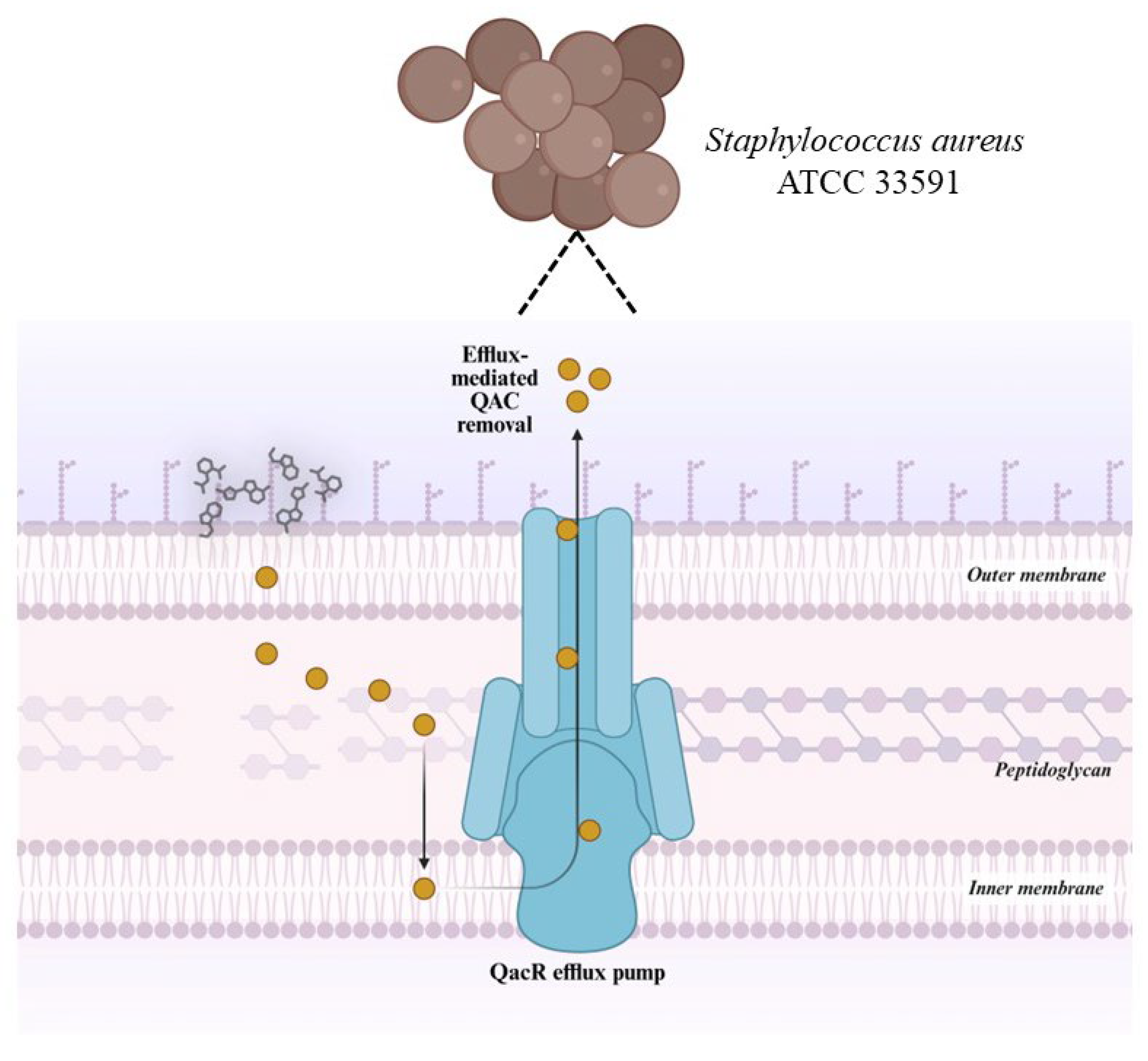 Pharmaceuticals 18 01286 g003 Pharmaceuticals 18 01286 g003