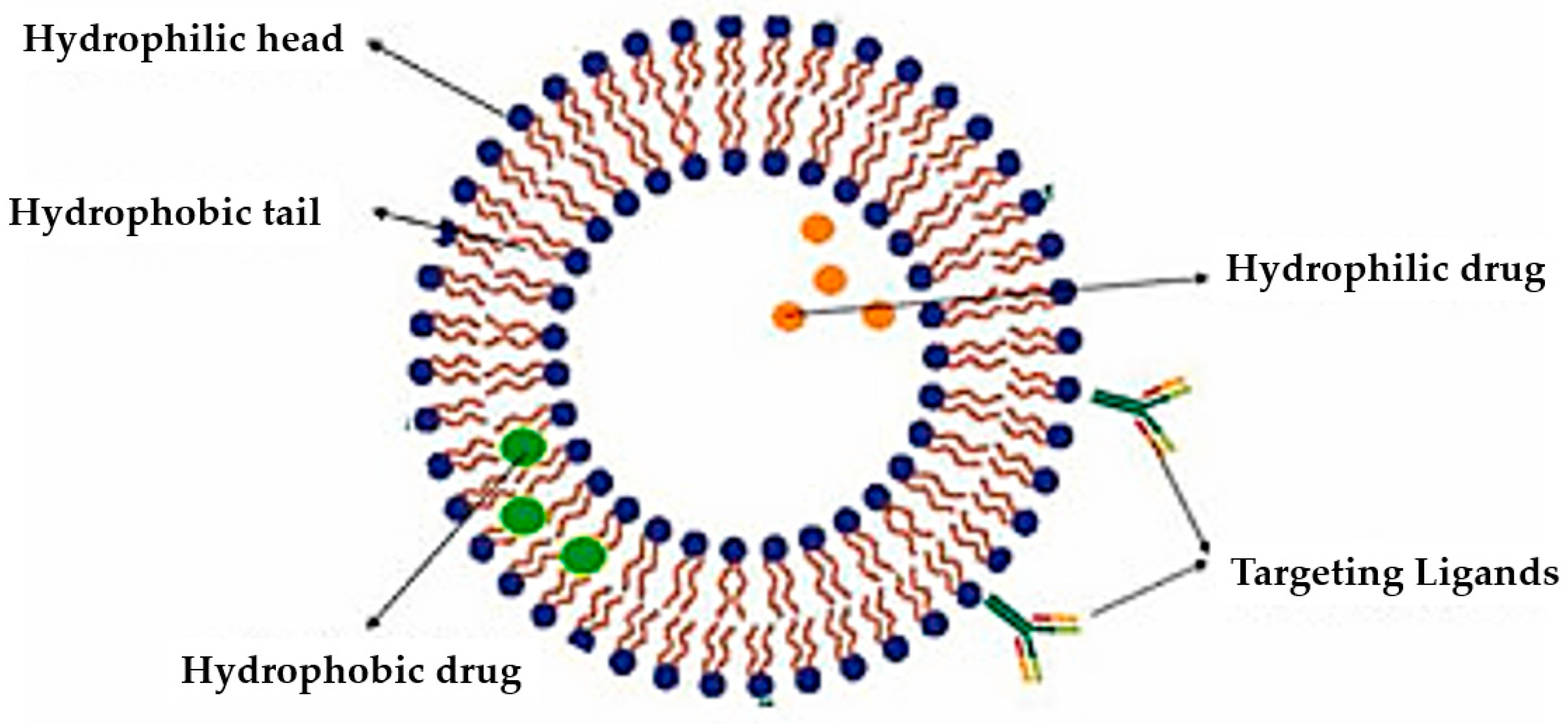 Pharmaceuticals 18 01288 g002