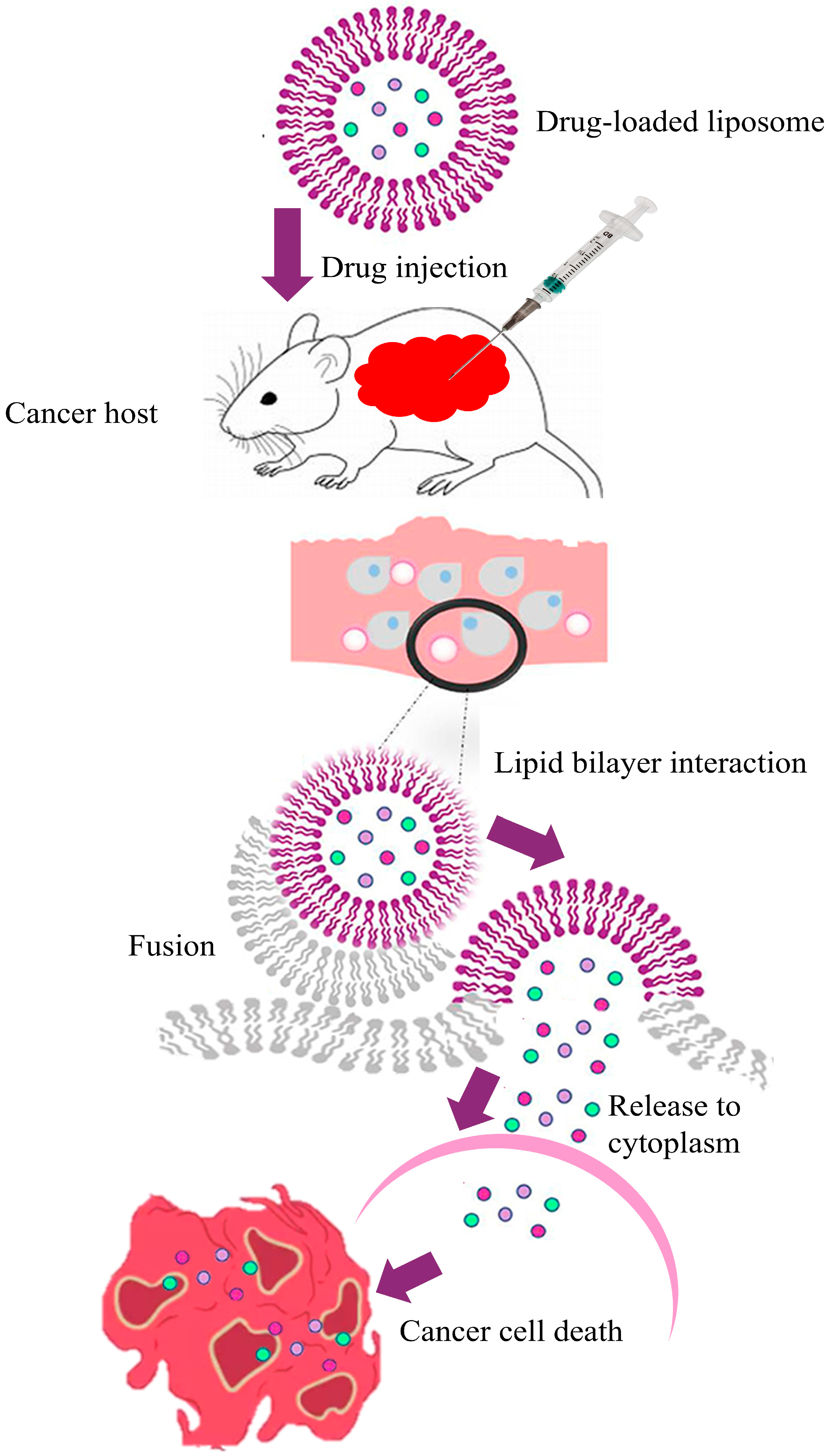 Pharmaceuticals 18 01288 g003