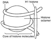 Pharmaceuticals 18 01288 i002