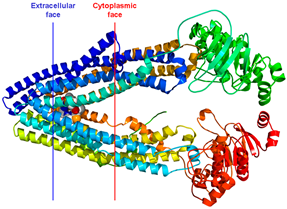 Pharmaceuticals 18 01288 i008