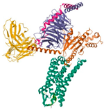 Pharmaceuticals 18 01288 i009