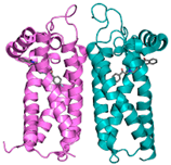 Pharmaceuticals 18 01288 i010